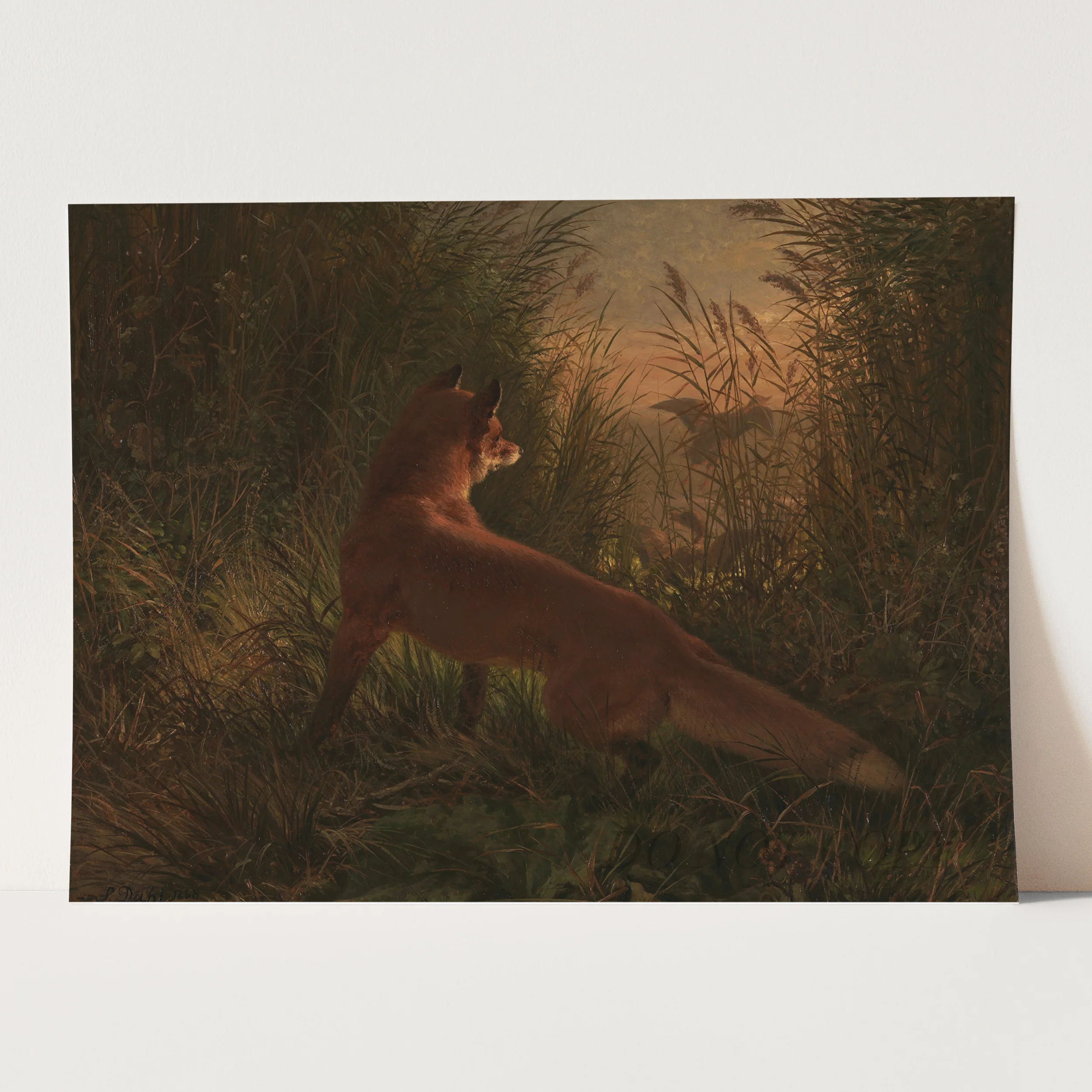 A Fox by Siegwald Dahl - Image 3