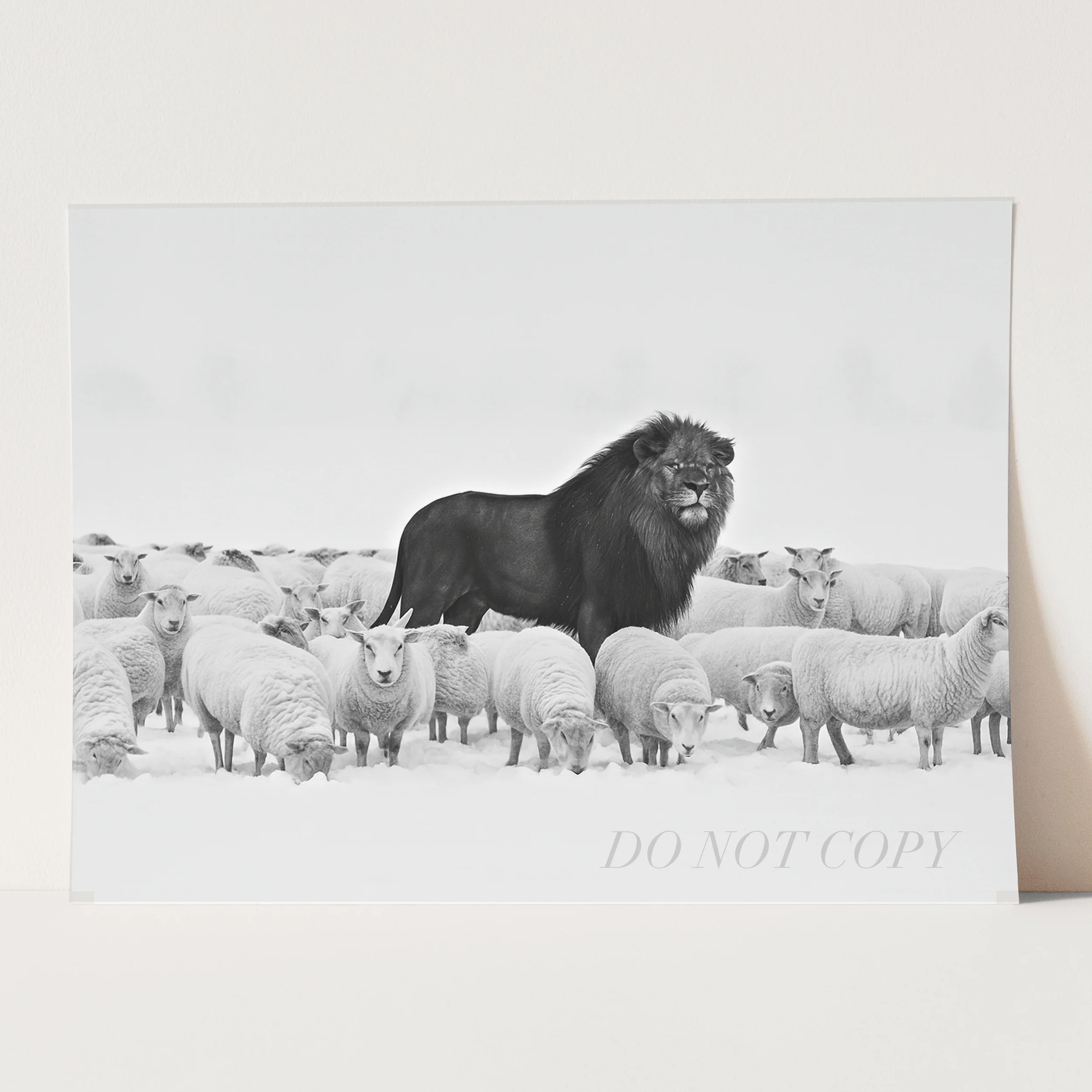 A Lion Among Sheep - Image 3