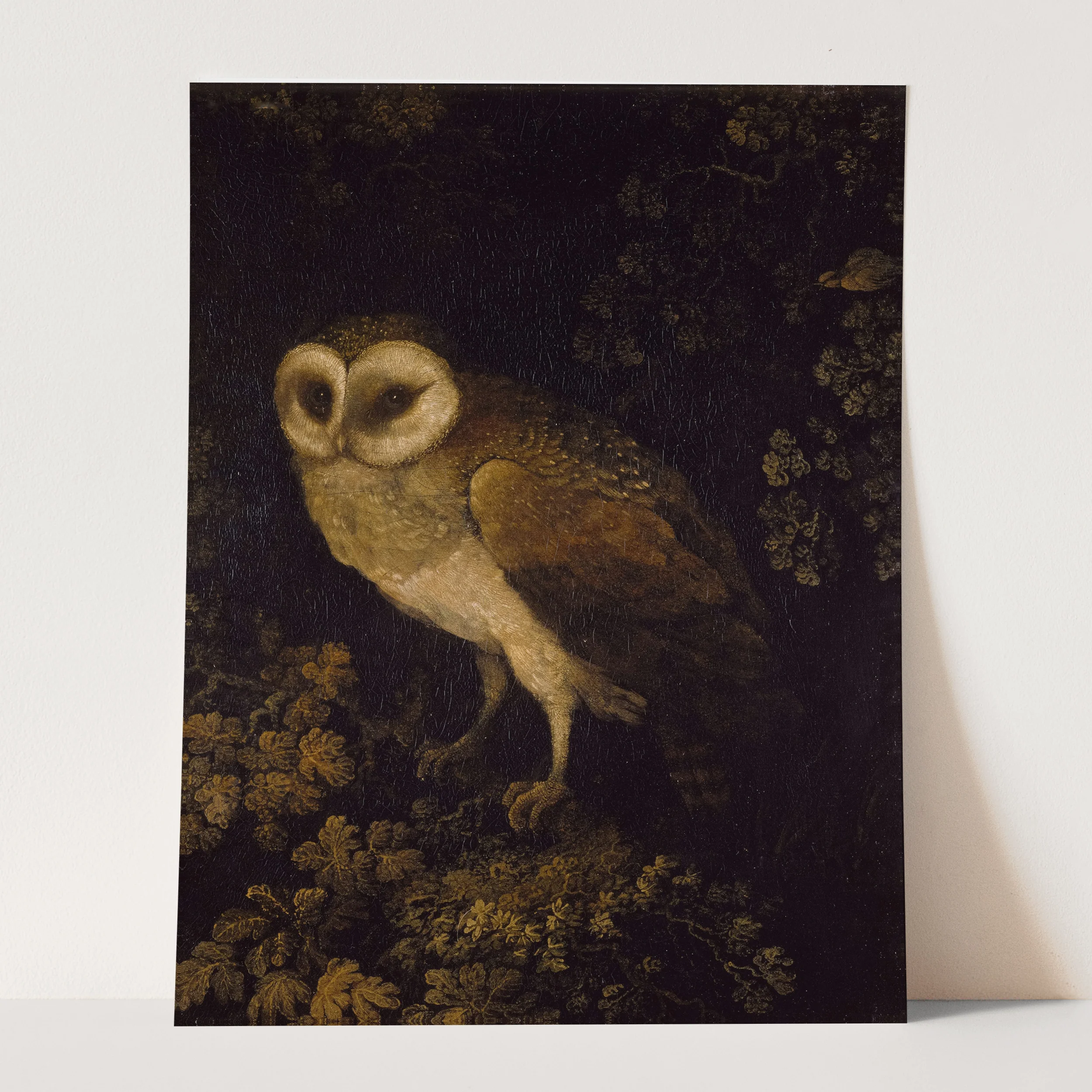 An Owl, Dark Academia by Moses Haughton - Image 3