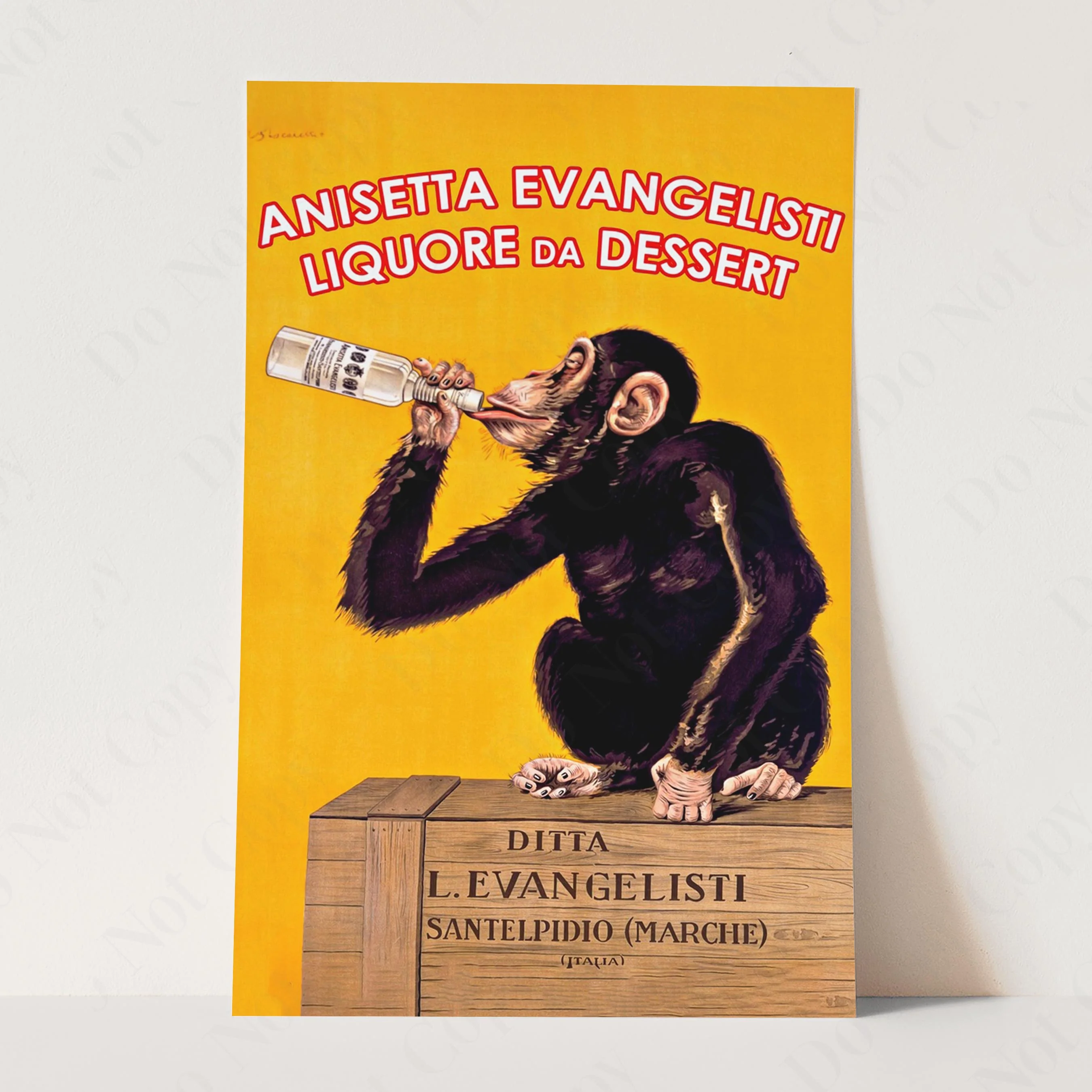 Anisetta Evangelisti - Drinking Monkey - Image 3