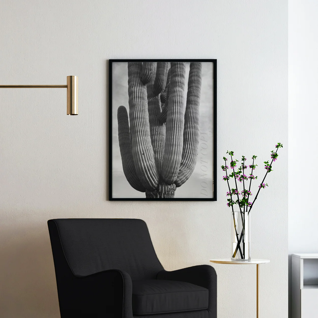 Ansel Adams Desert Cactus - Image 2