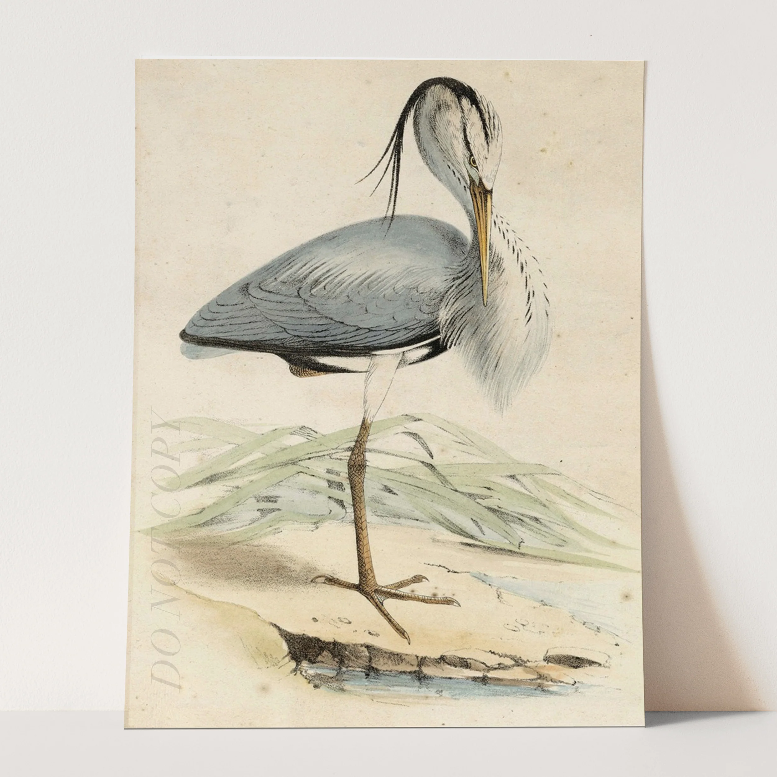 Antique Heron - Image 3
