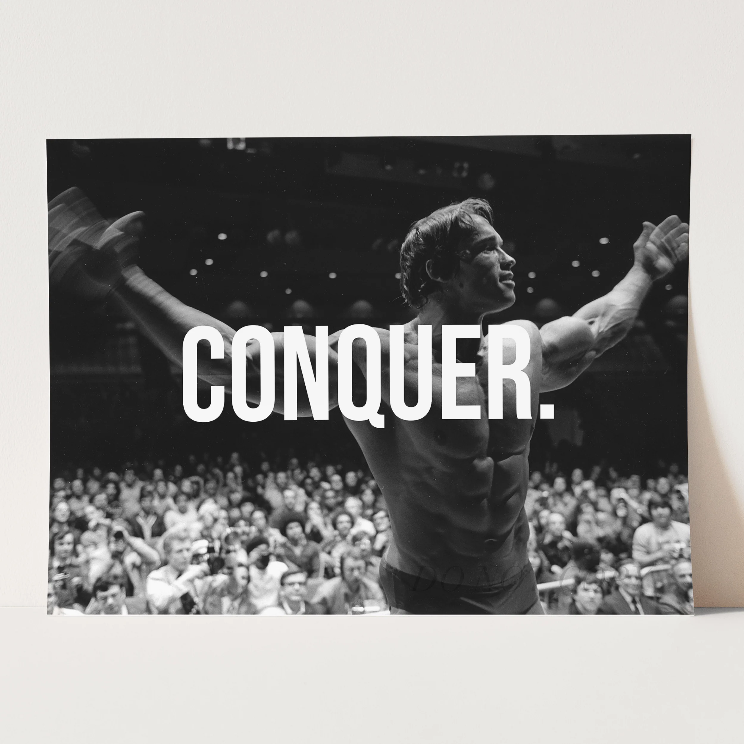 Arnold Schwarzenegger CONQUER - Image 3