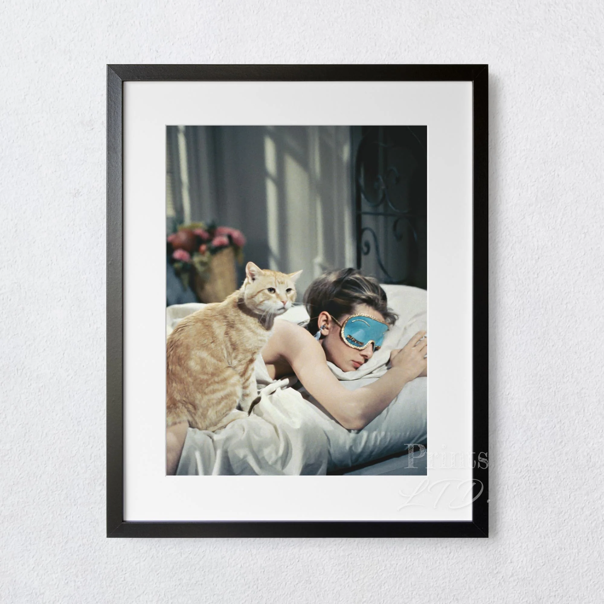 Audrey Hepburn Sleeping With Cat, Breakfast at Tiffany's - Image 4