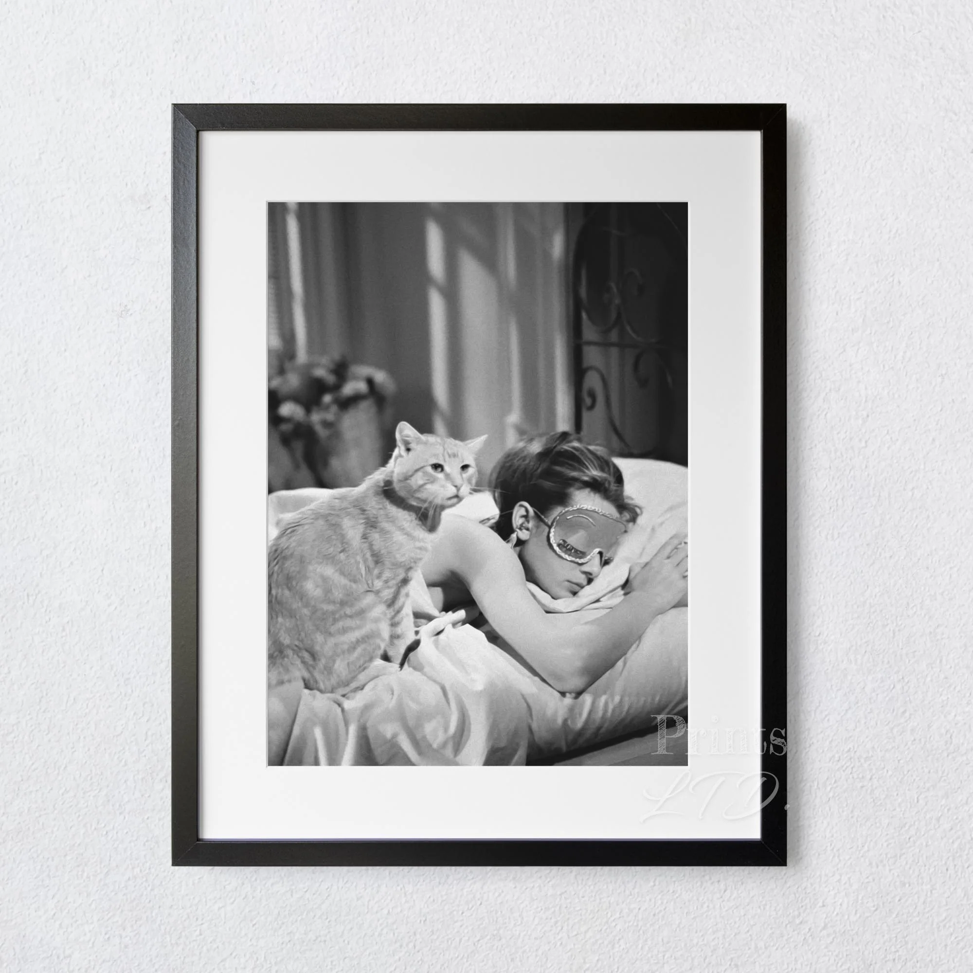 Audrey Hepburn Sleeping With Cat, Breakfast at Tiffany's - Image 4