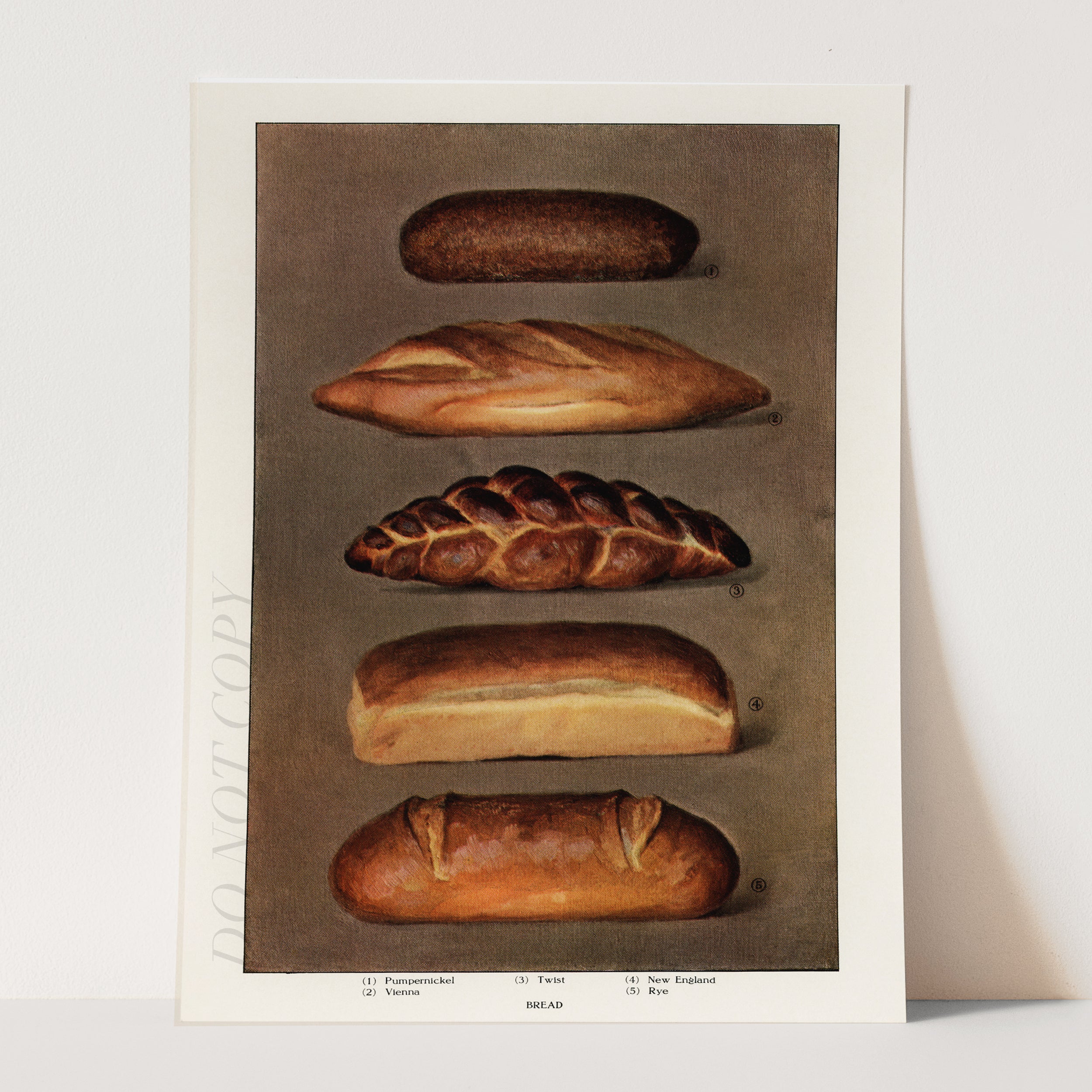 Baked Bread Loaves - The Grocer's Encyclopedia (1911) - Image 3