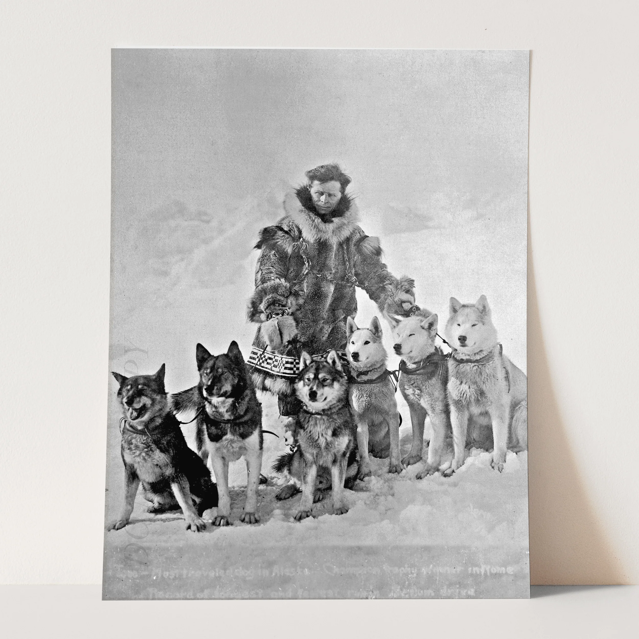 Balto Siberian Husky Dog - Togo Leonhard Seppala With Dogs - Image 3