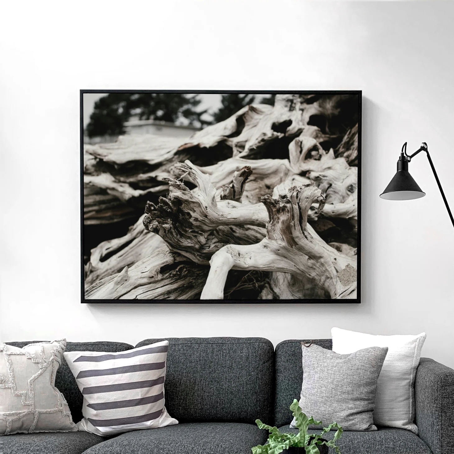 Beach Wood - Image 2