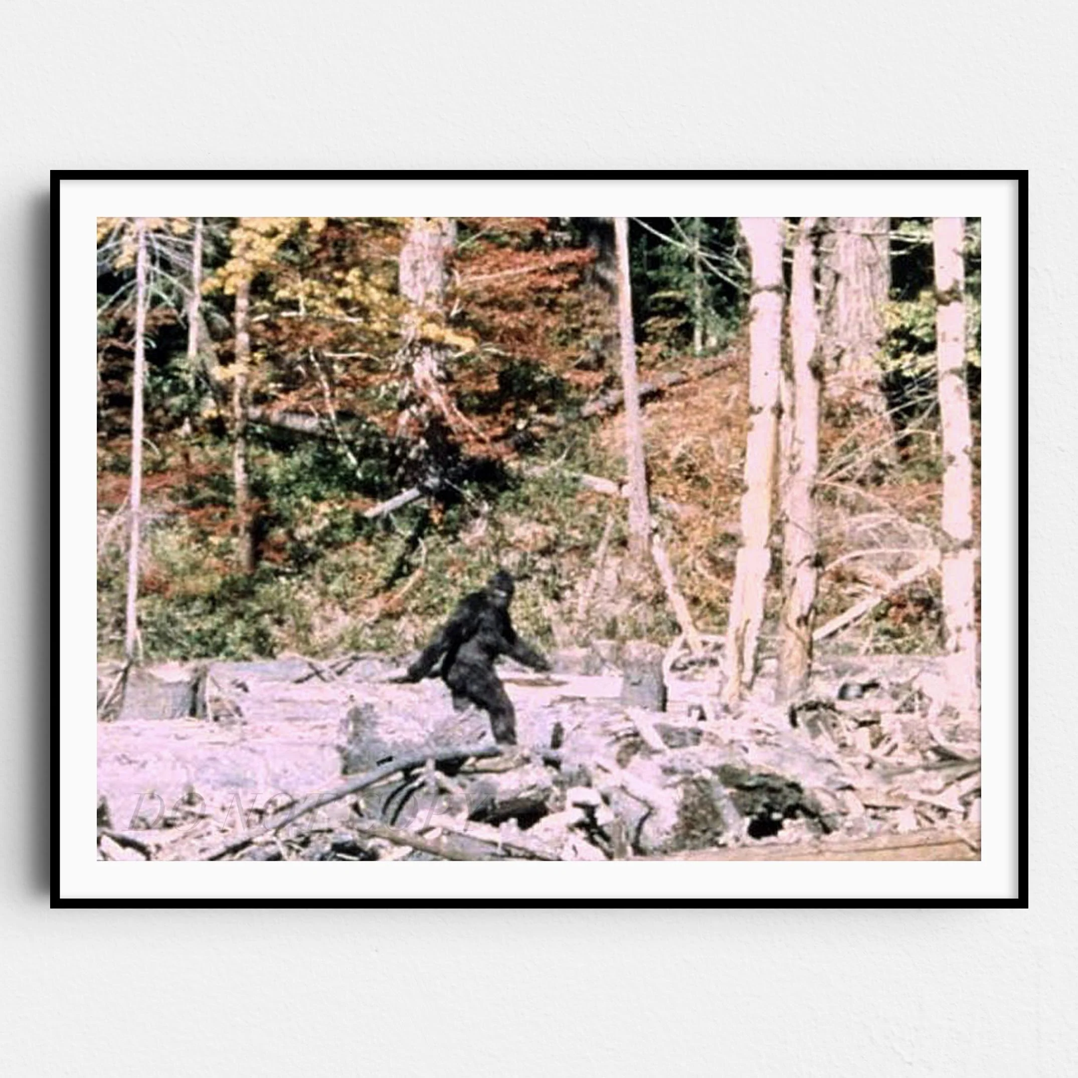 Bigfoot