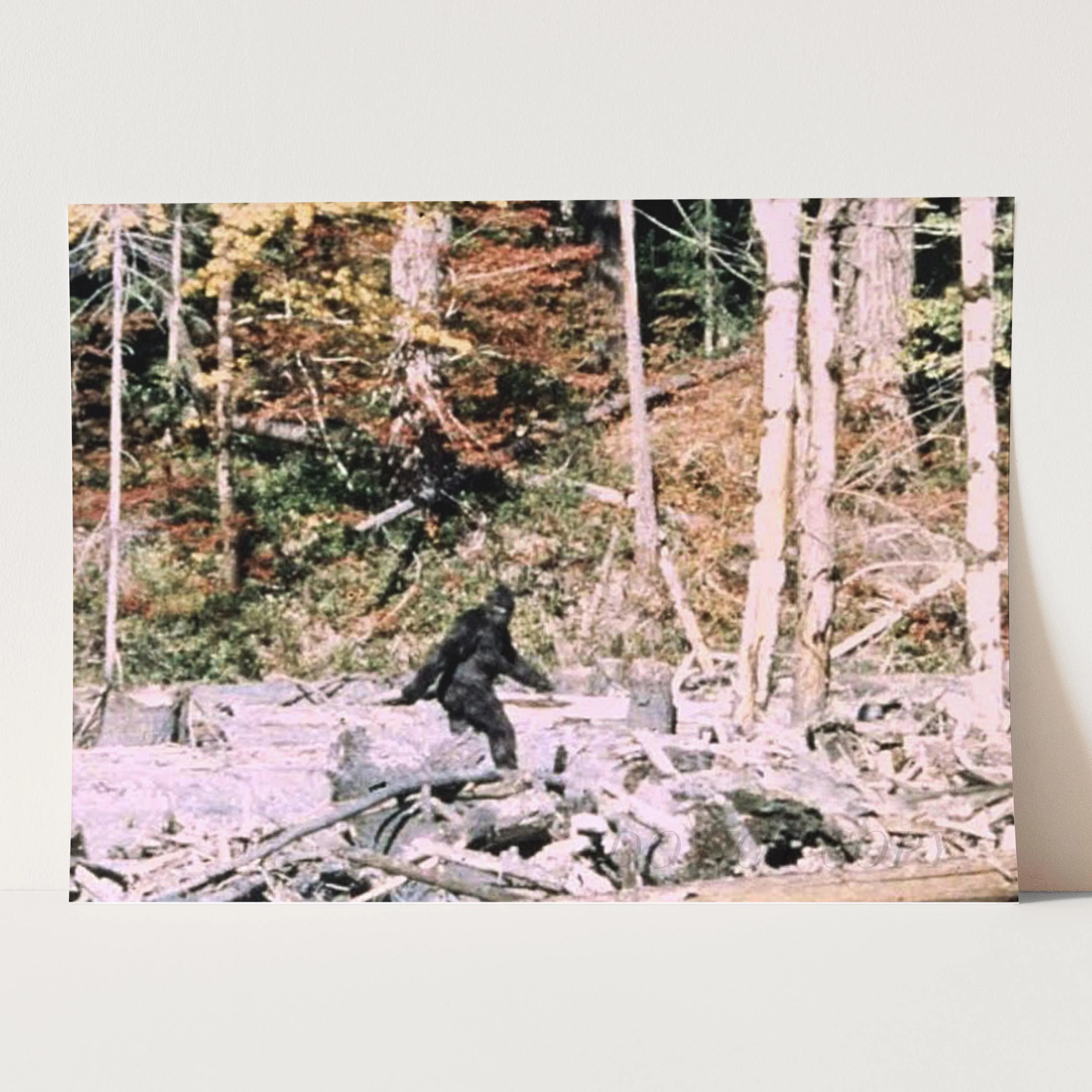 Bigfoot - Image 3