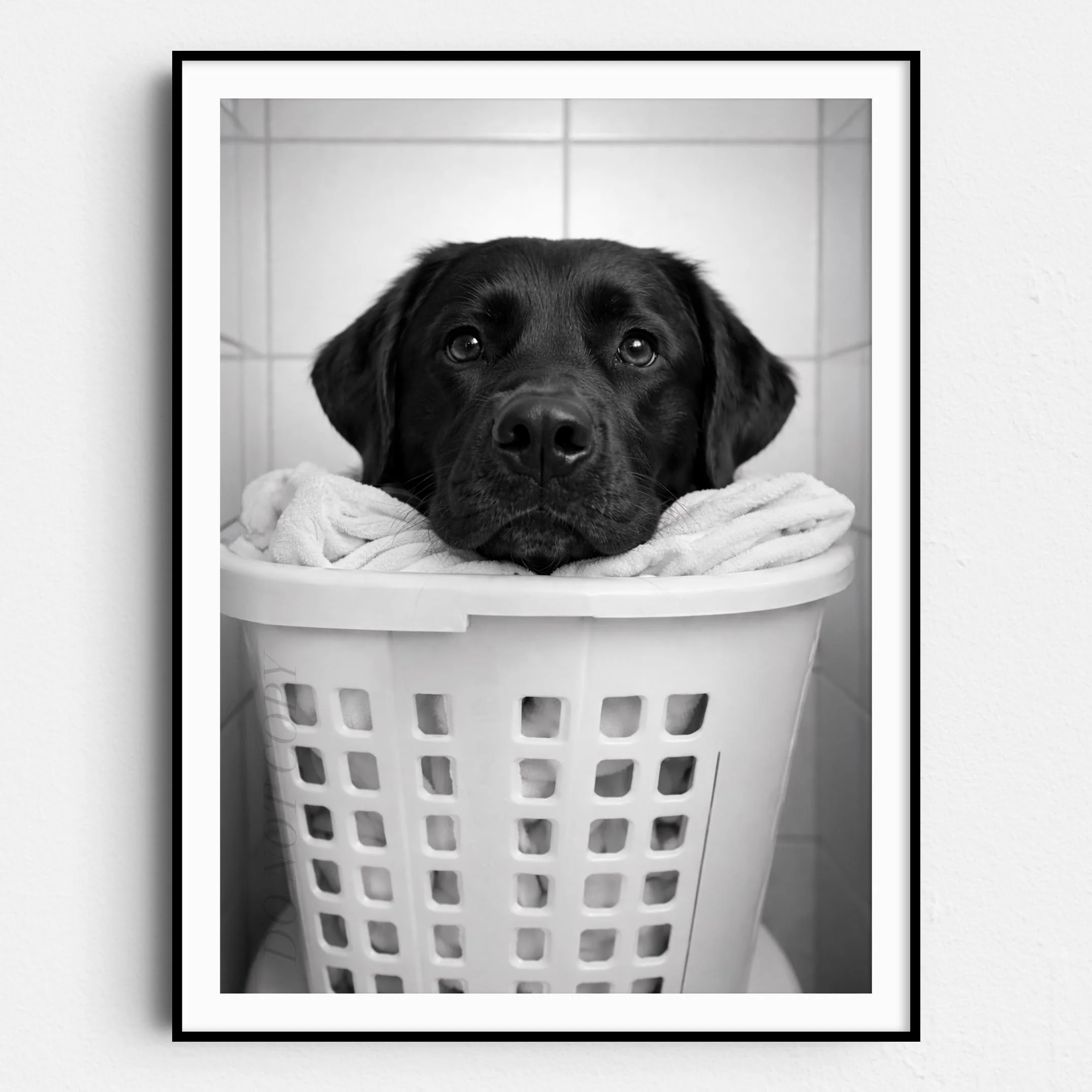 Black Labrador Dog Laundry
