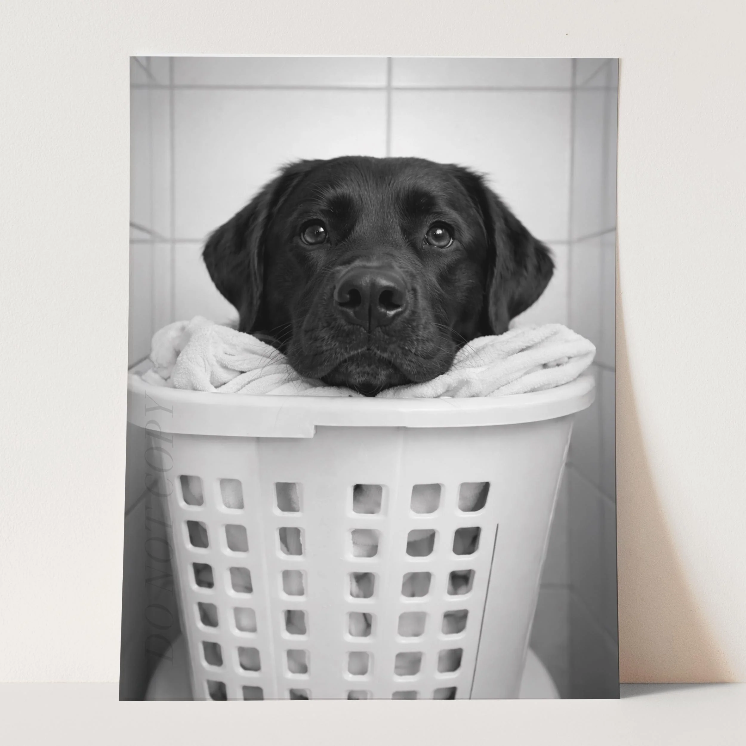 Black Labrador Dog Laundry - Image 3