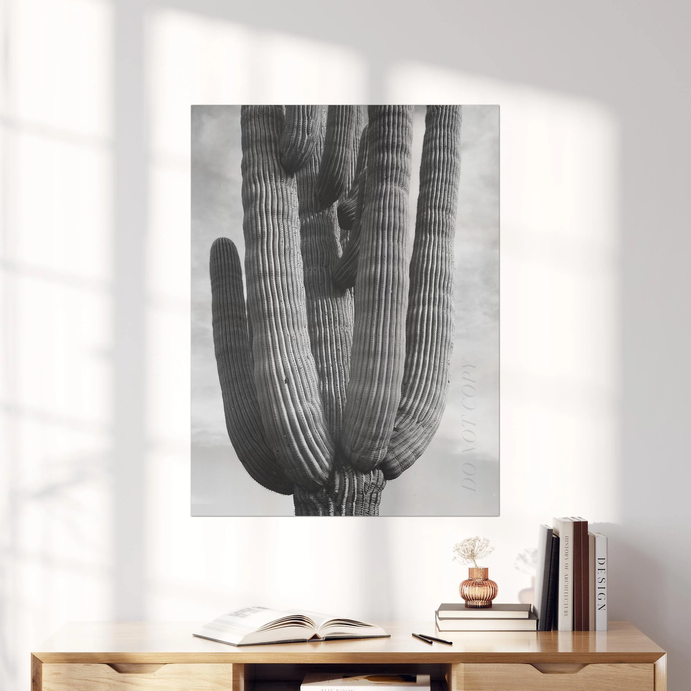 Black & White Cactus - Image 3