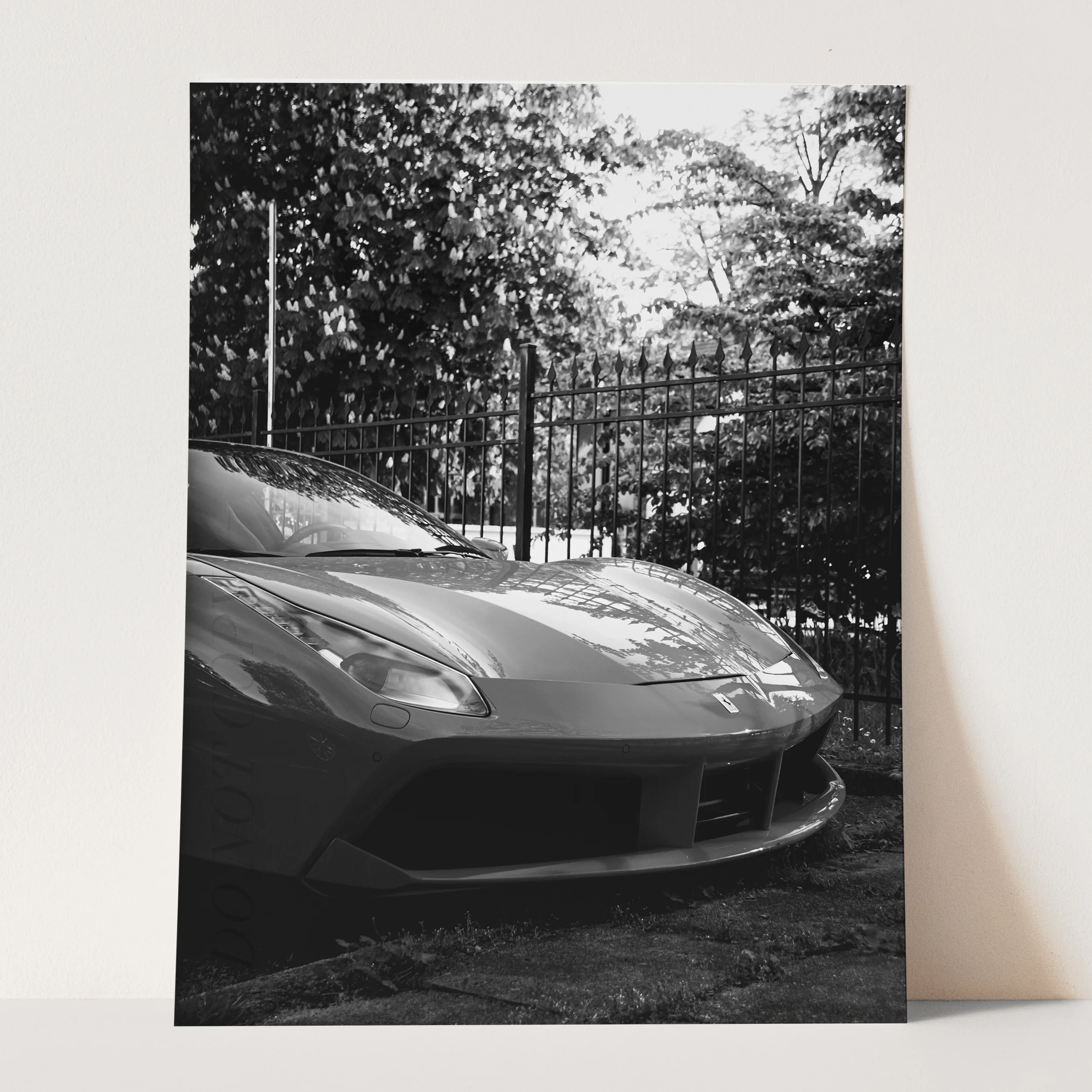 Black & White Ferrari in a Garden - Image 3