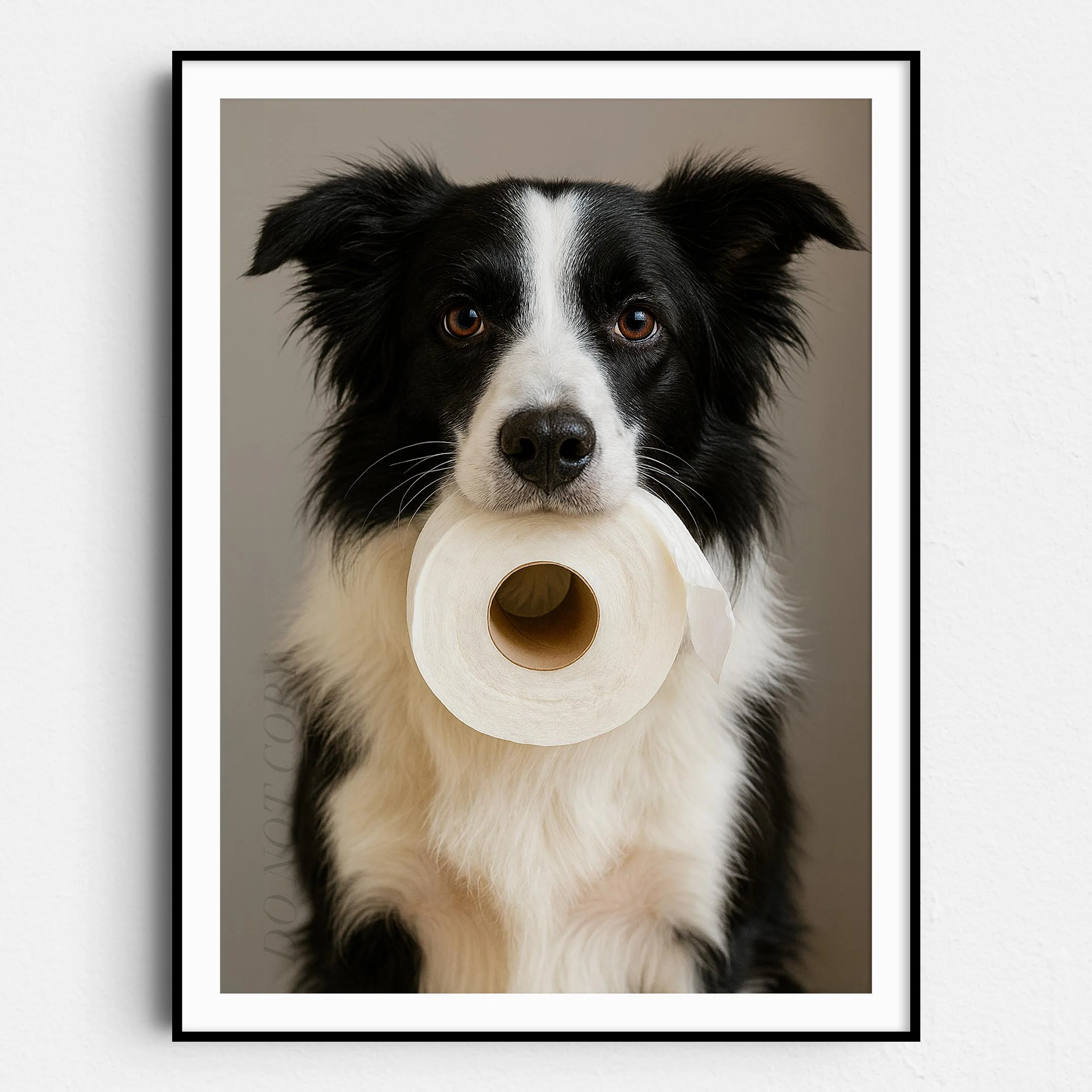Border Collie Dog Toilet Paper