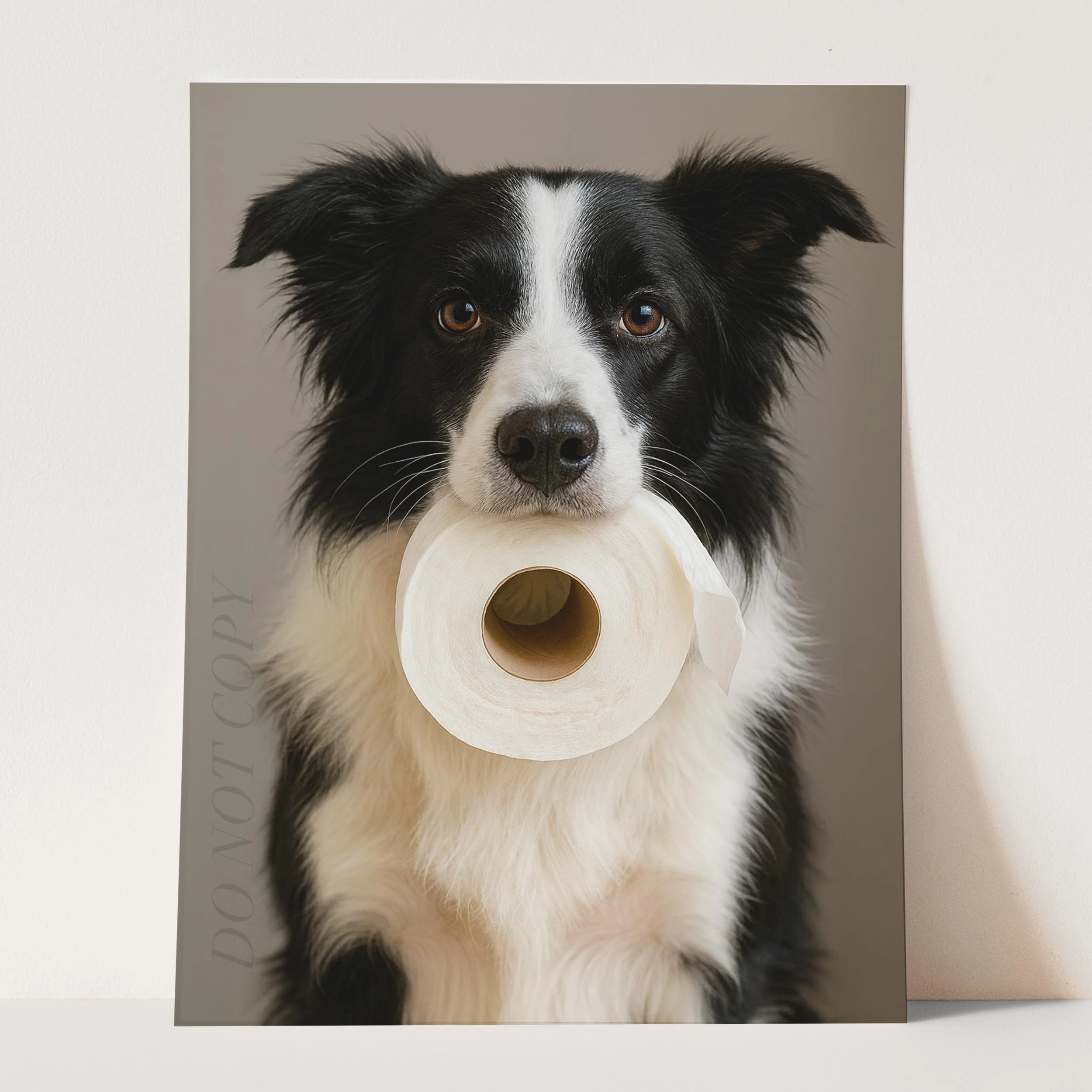 Border Collie Dog Toilet Paper - Image 3