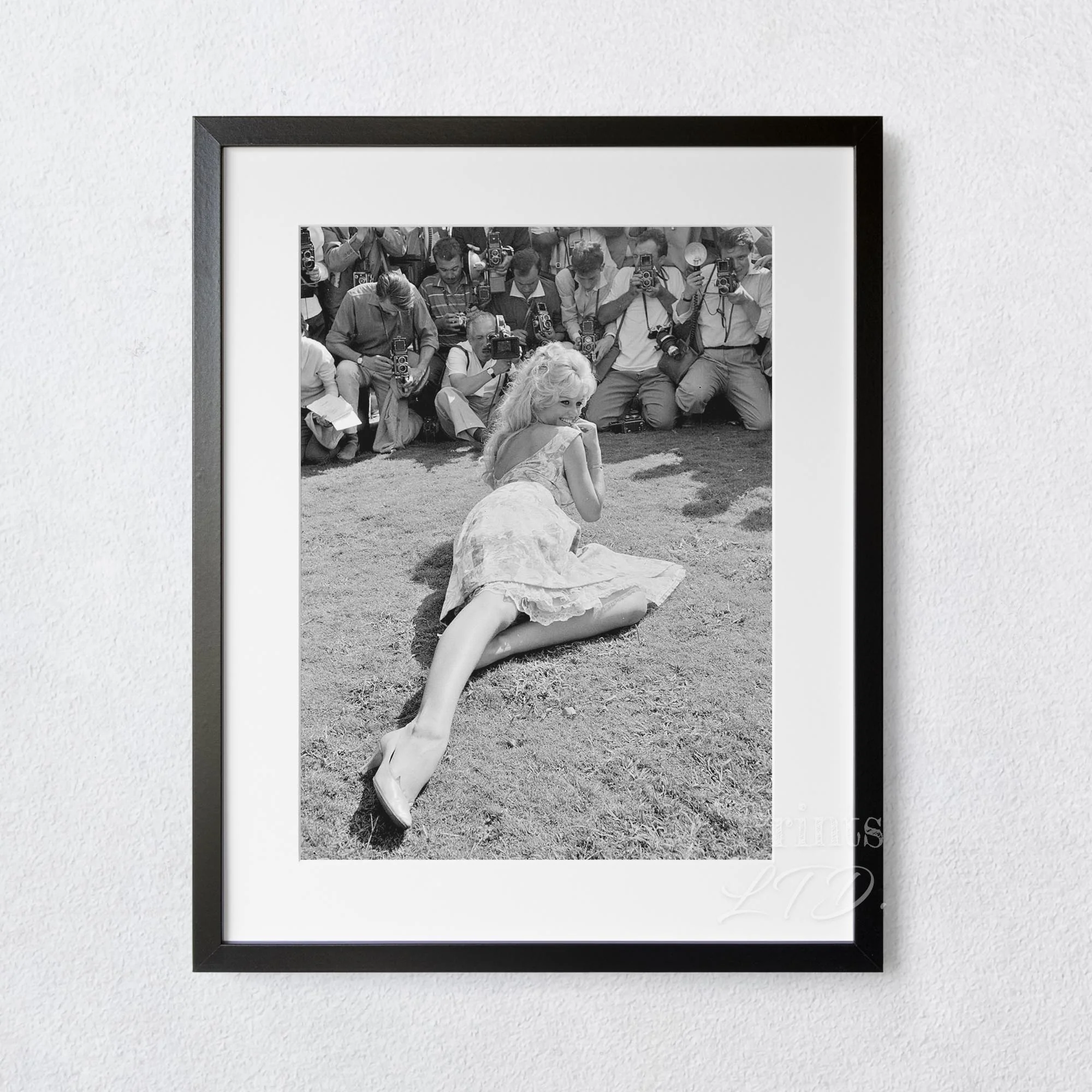 Brigitte Bardot poses for the cameras - Image 5