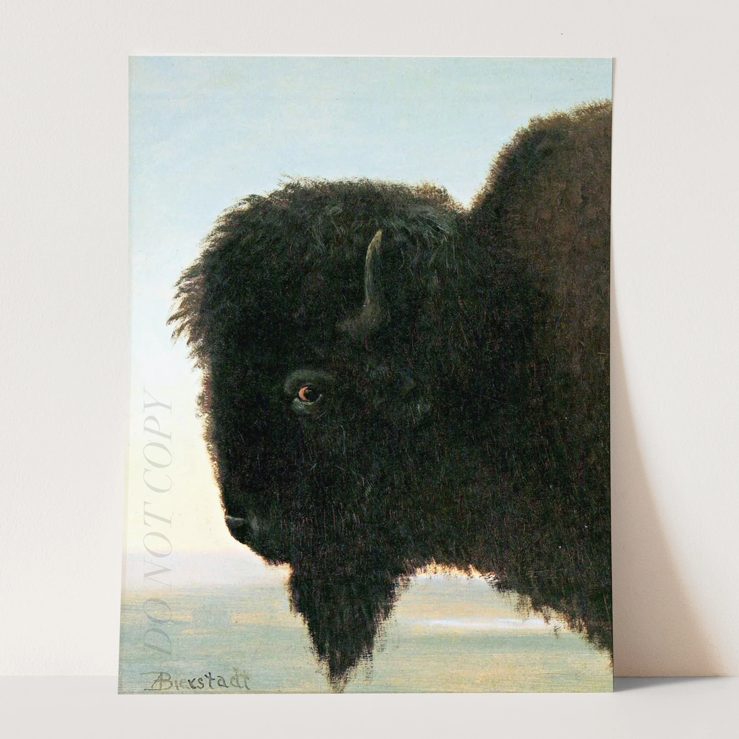 Buffalo Head Albert Bierstadt - Image 3