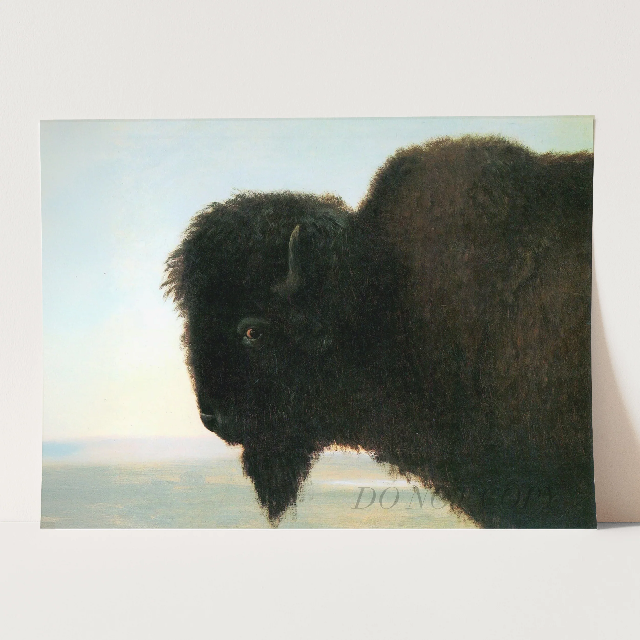 Buffalo Head by Albert Bierstadt - Image 3