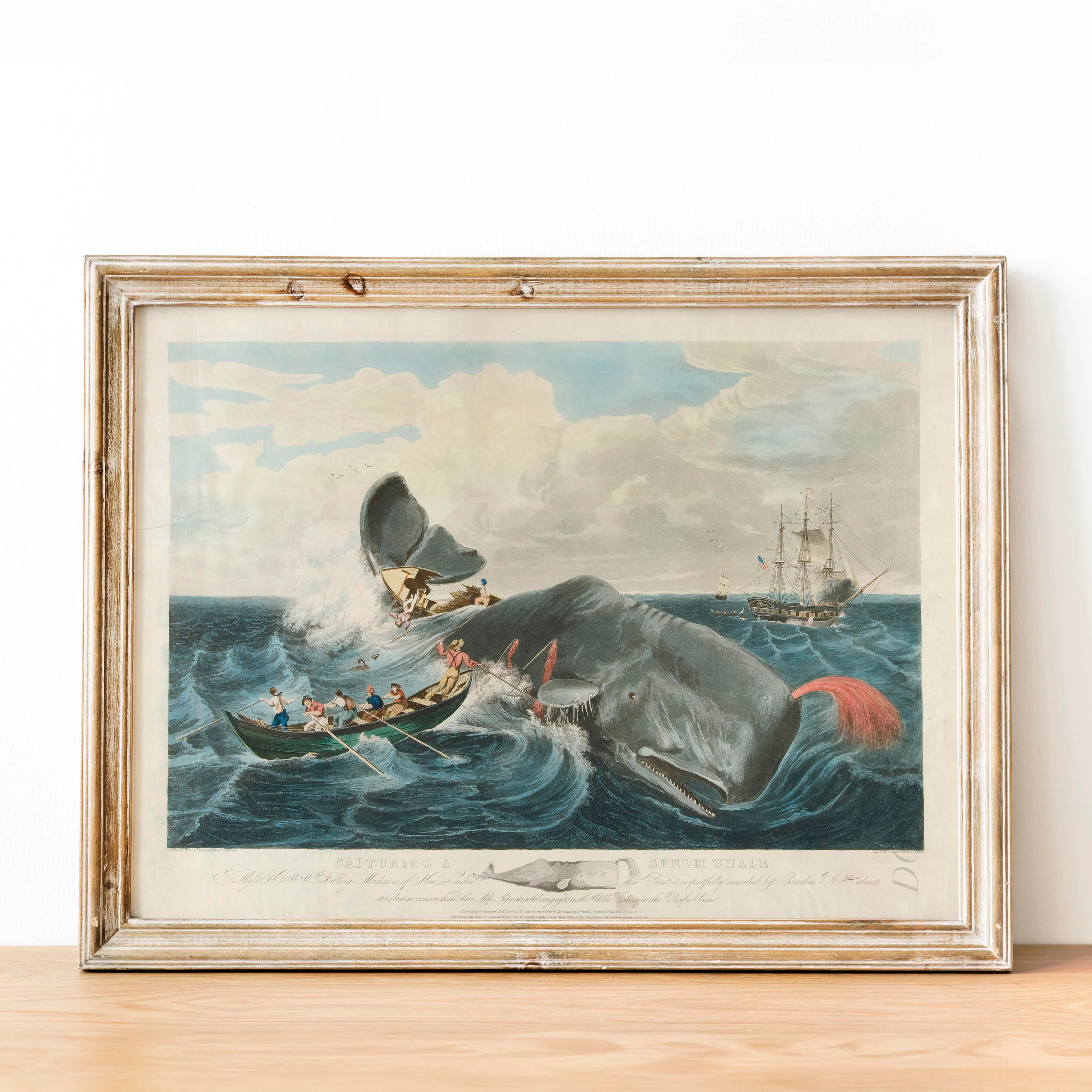 Capturing a Sperm Whale - Image 2