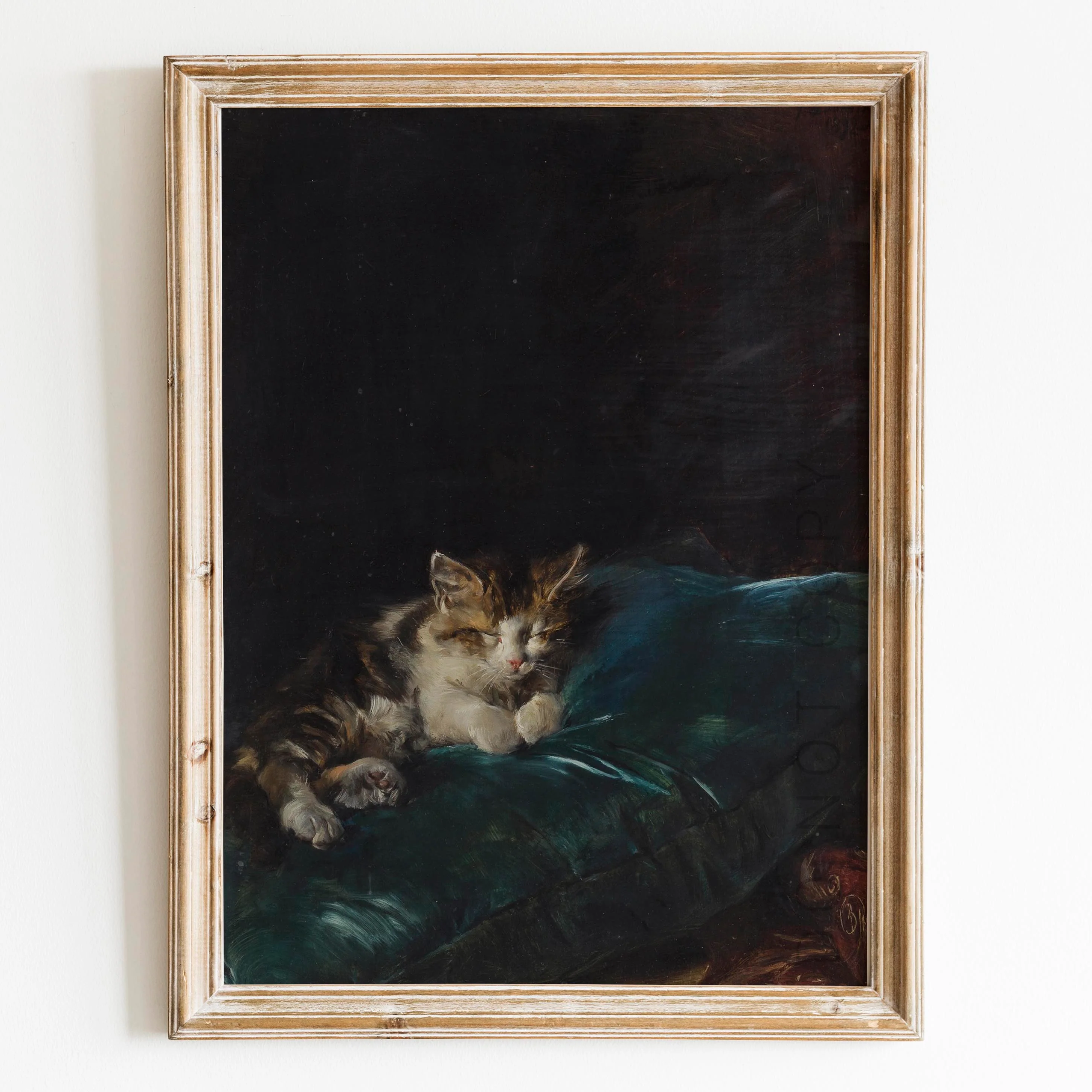 Cat Sleeping On A Cushion, 1892 by Francisco Domingo Marqués
