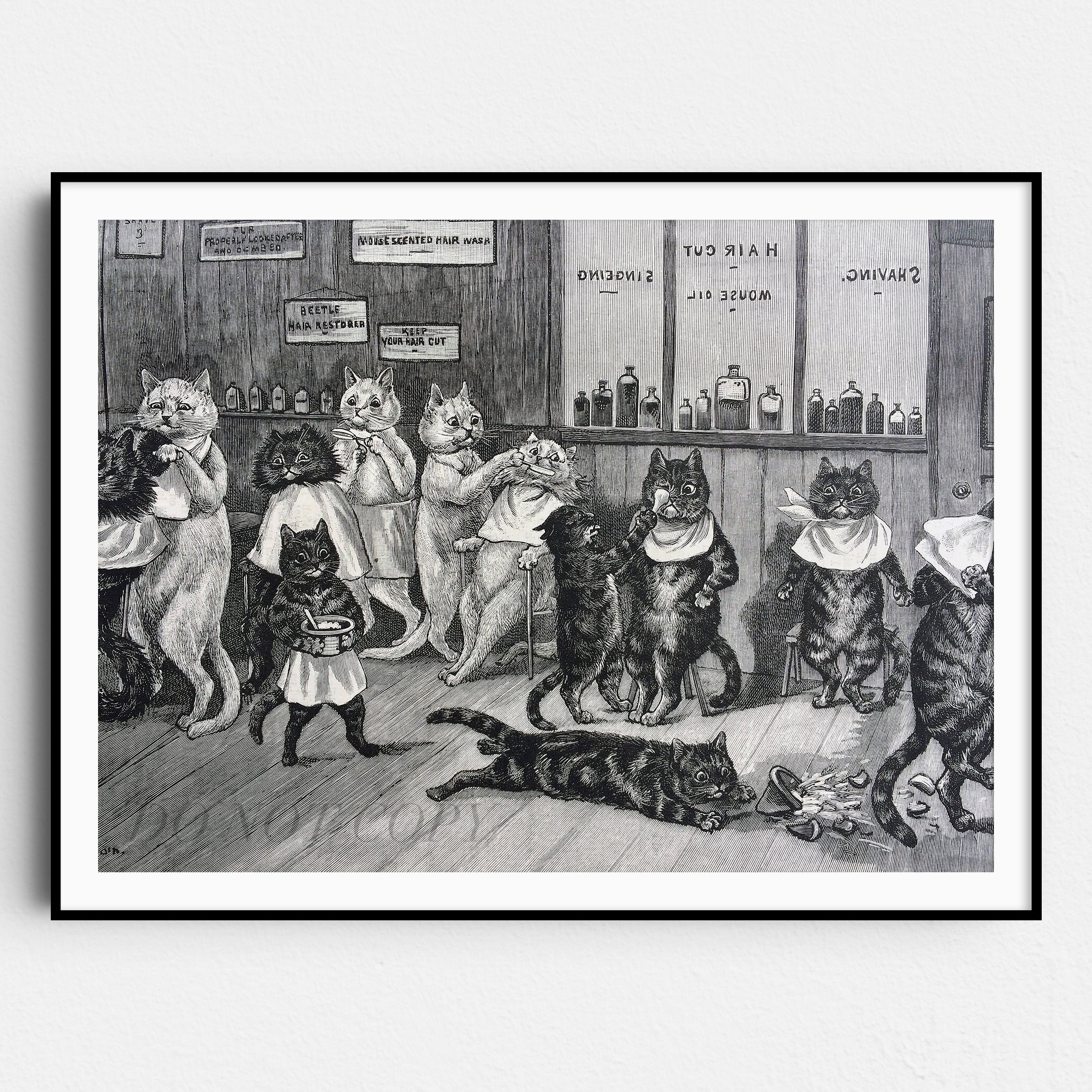 Cats at the Barber