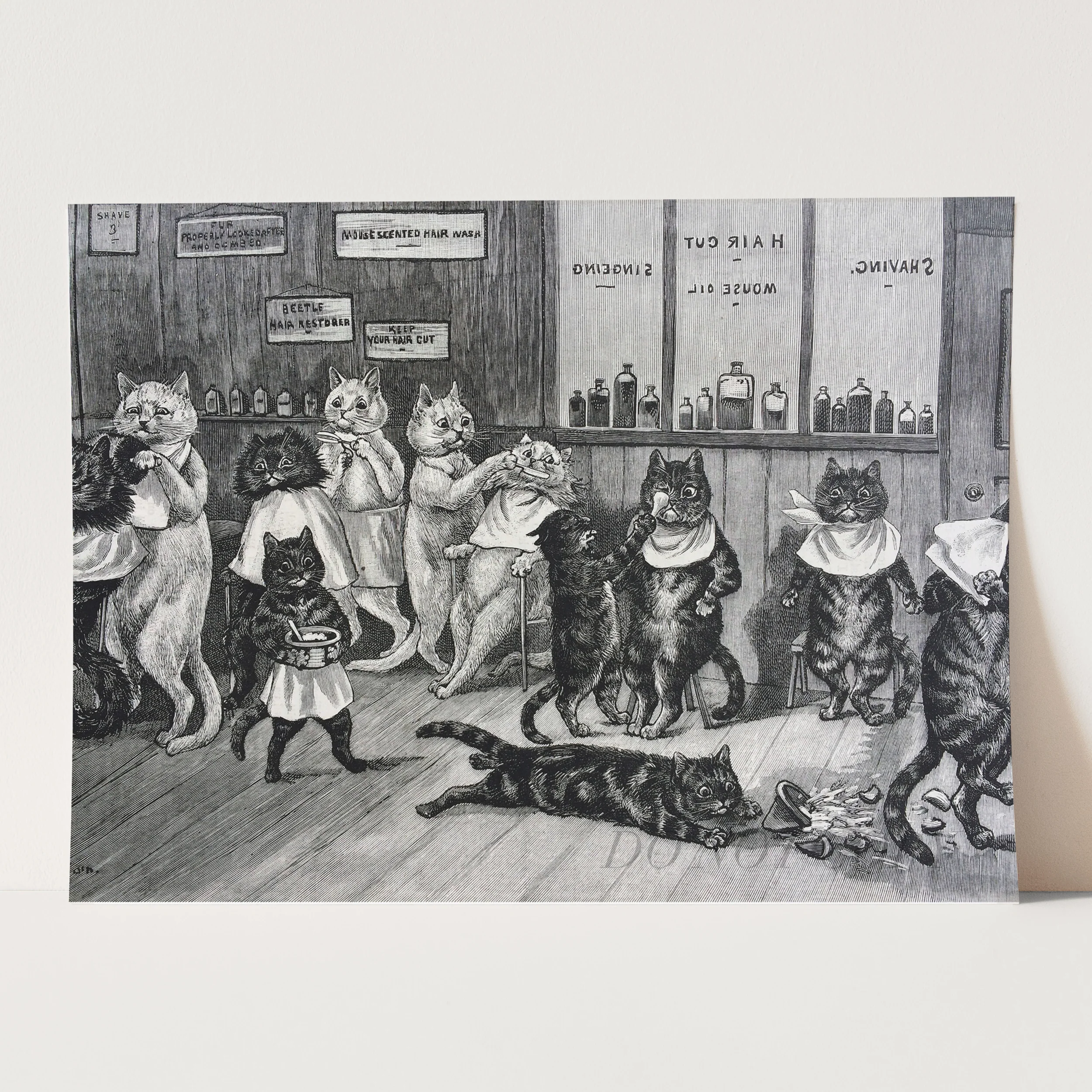 Cats at the Barber - Image 3