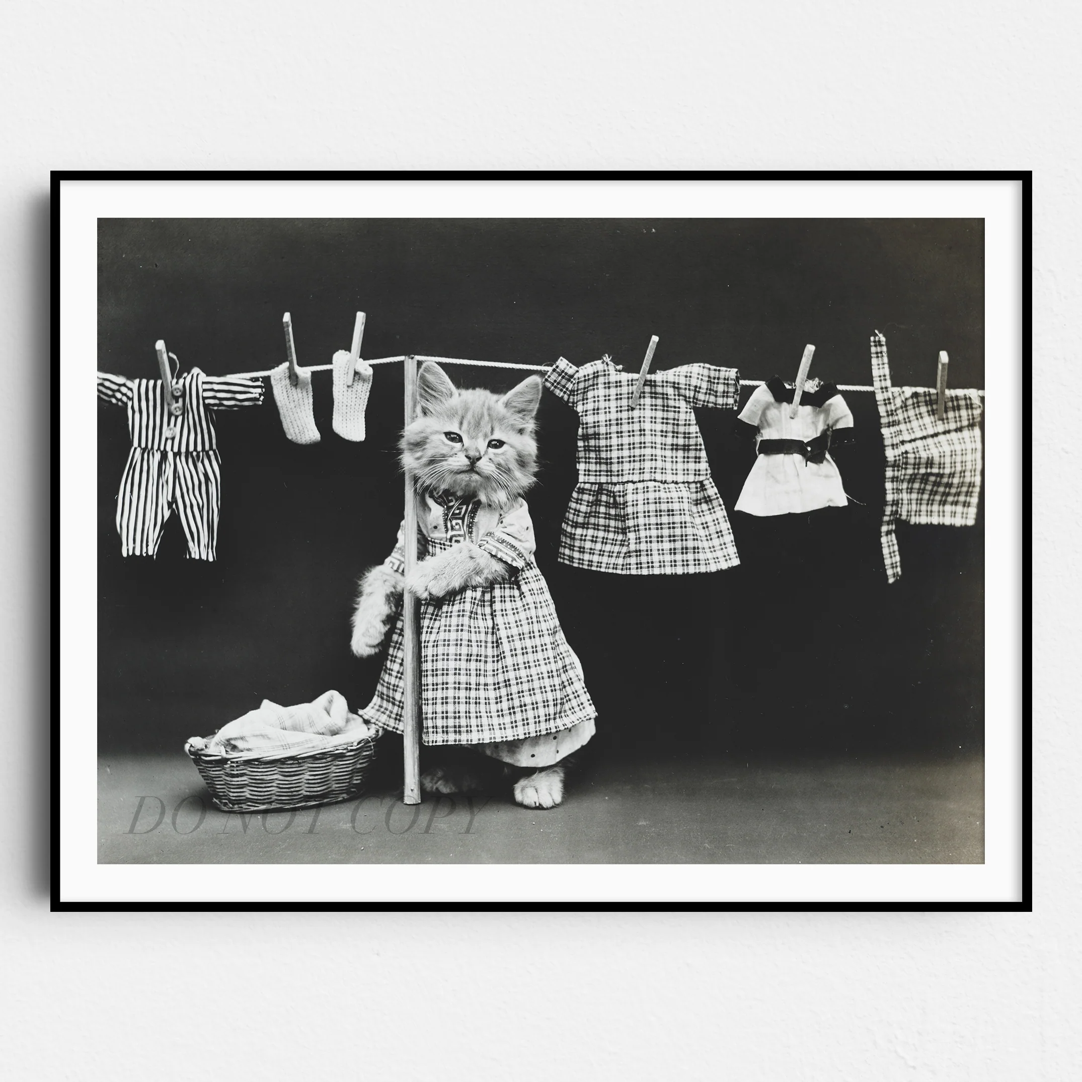 Cats Hanging Up The Wash