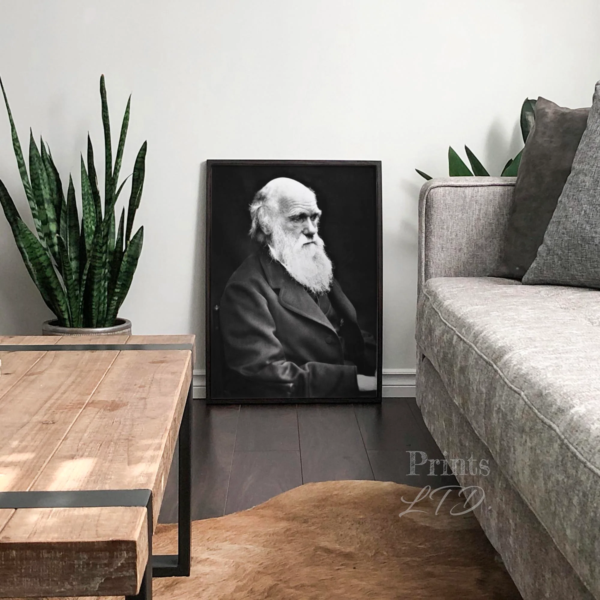 Charles Darwin - Image 4