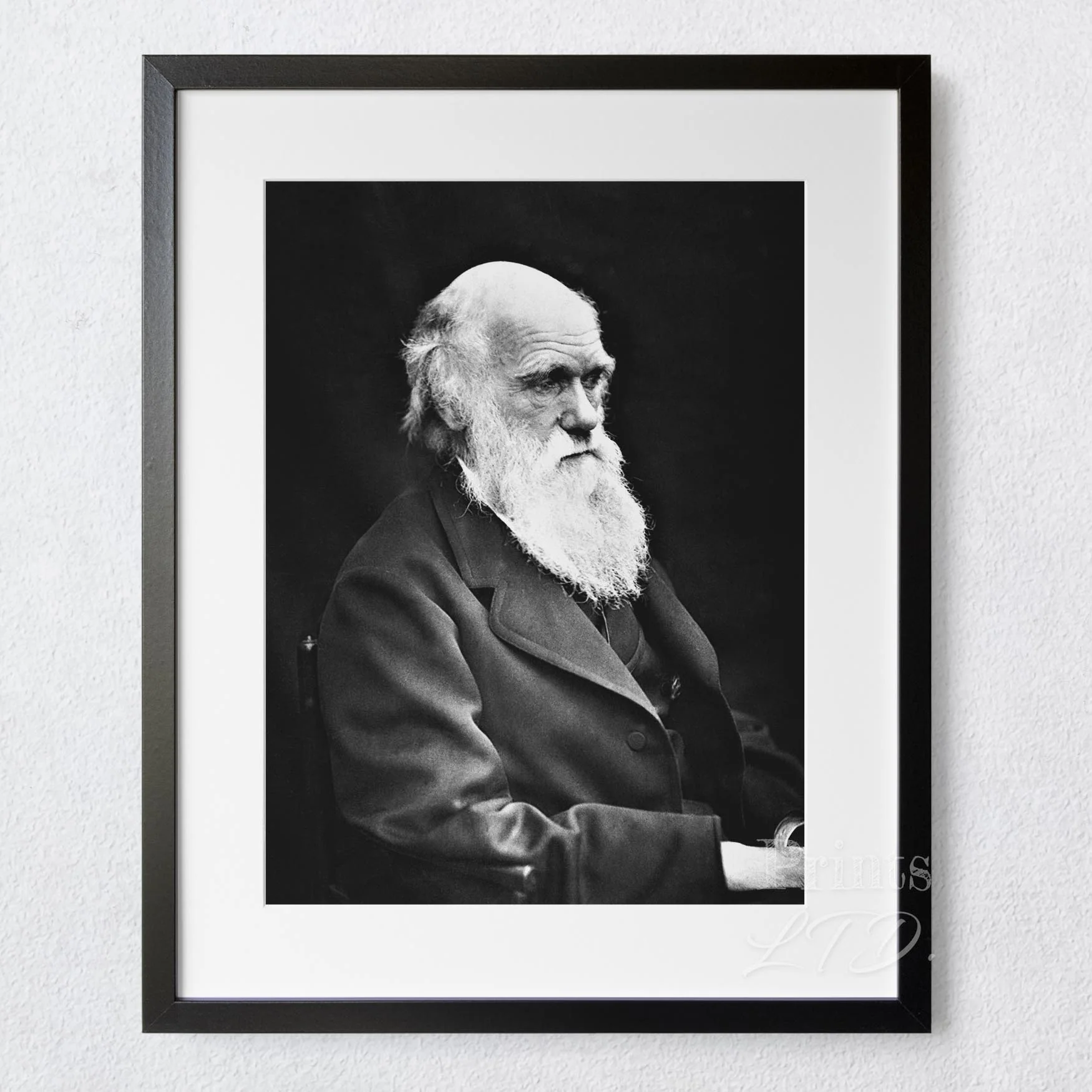 Charles Darwin - Image 5