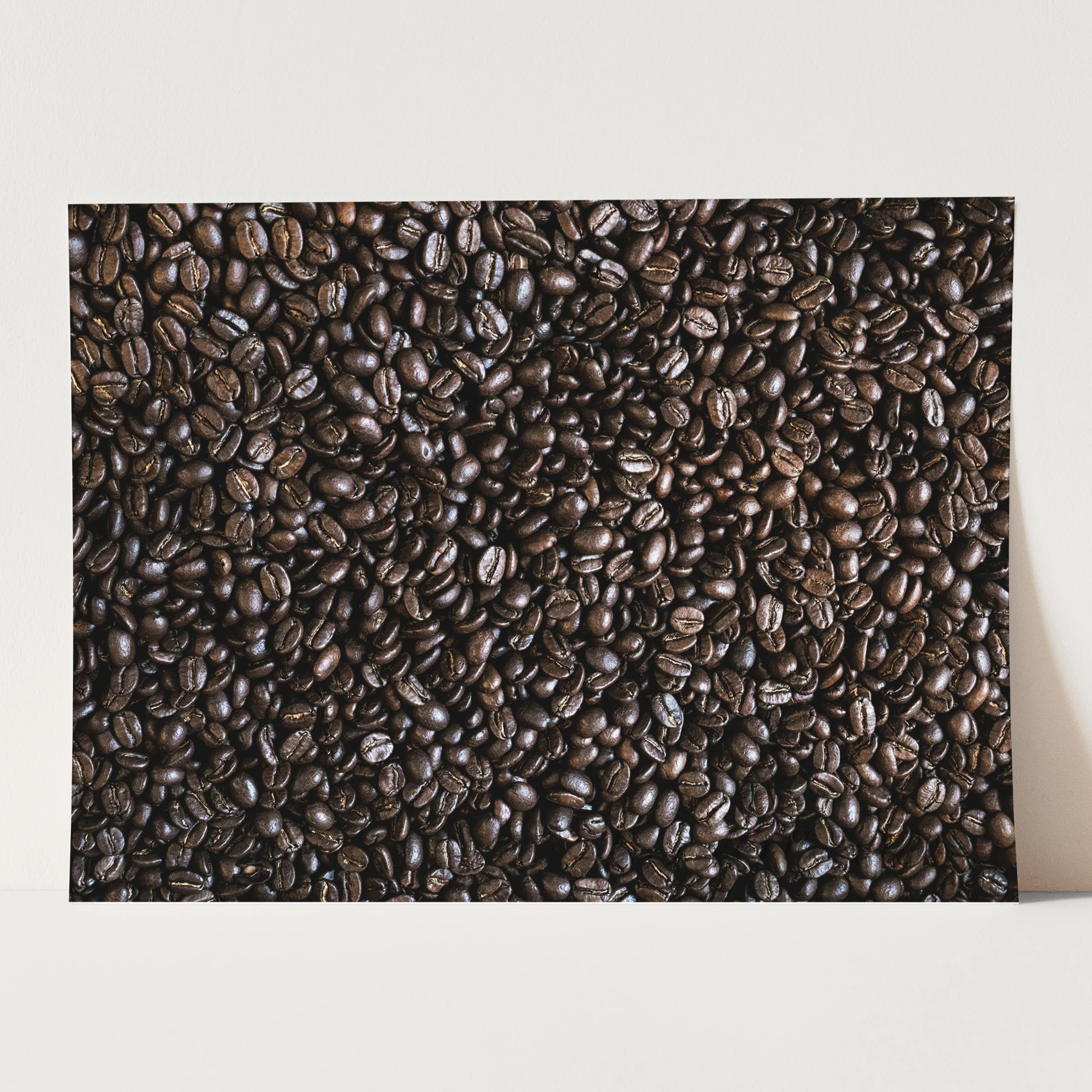 Coffee Beans - Image 3