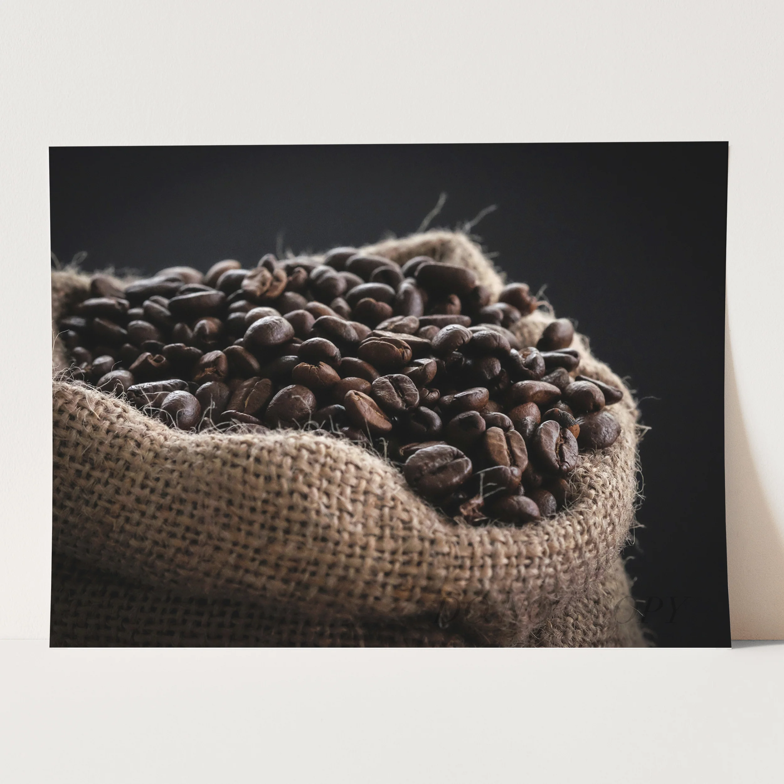 Coffee Beans - Image 3