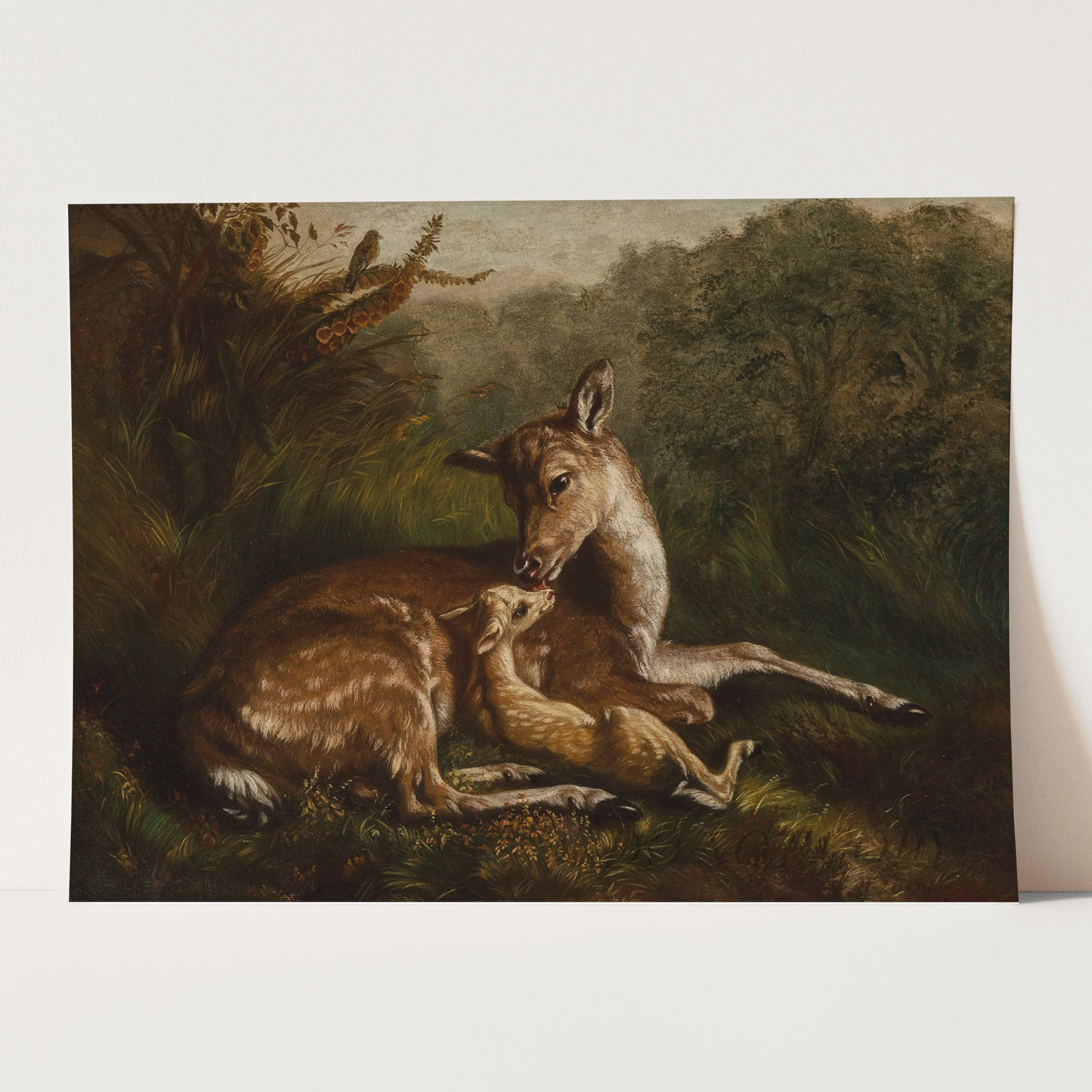 Deer and Fawn (1870) by Arthur Fitzwilliam Tait - Image 3