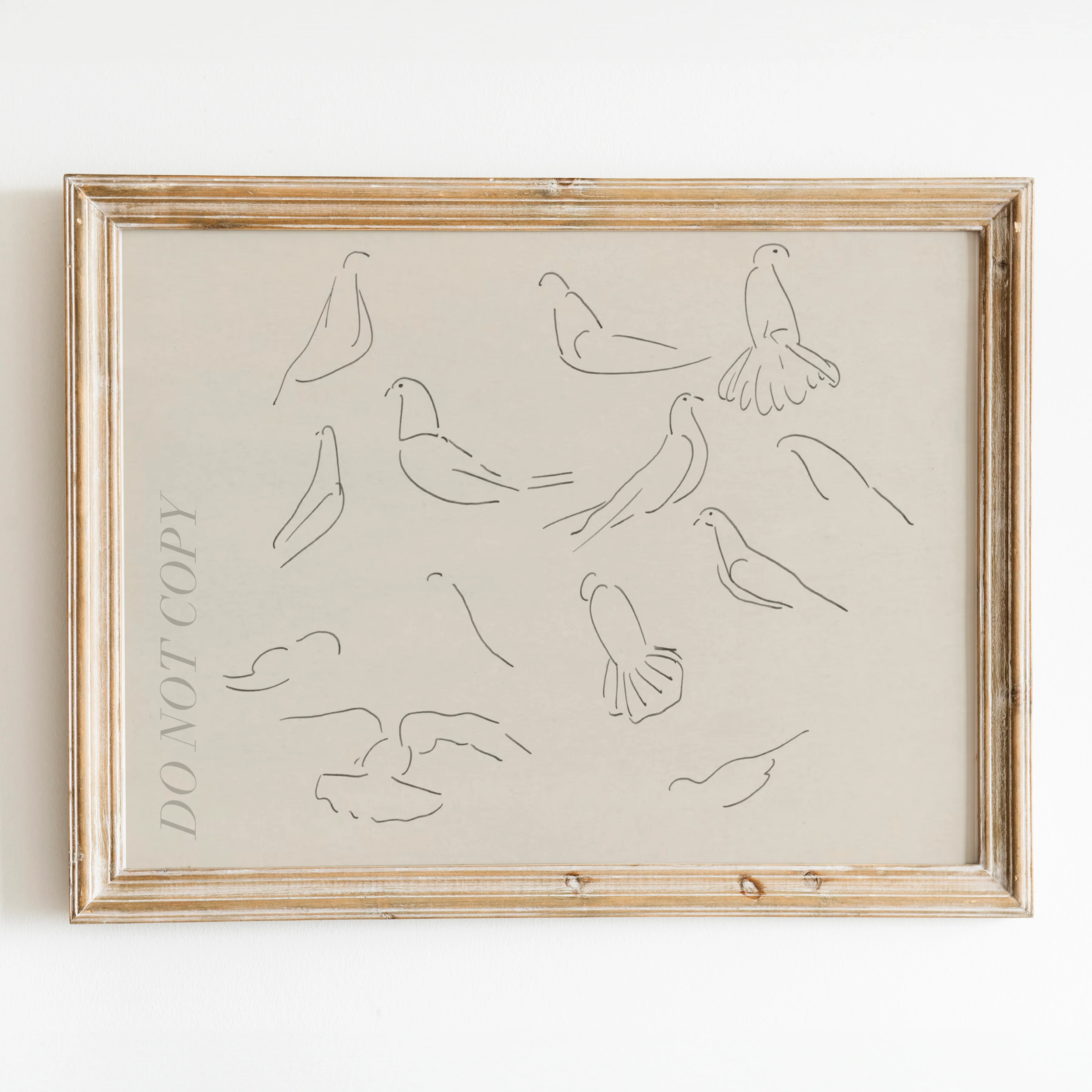 Dove Study