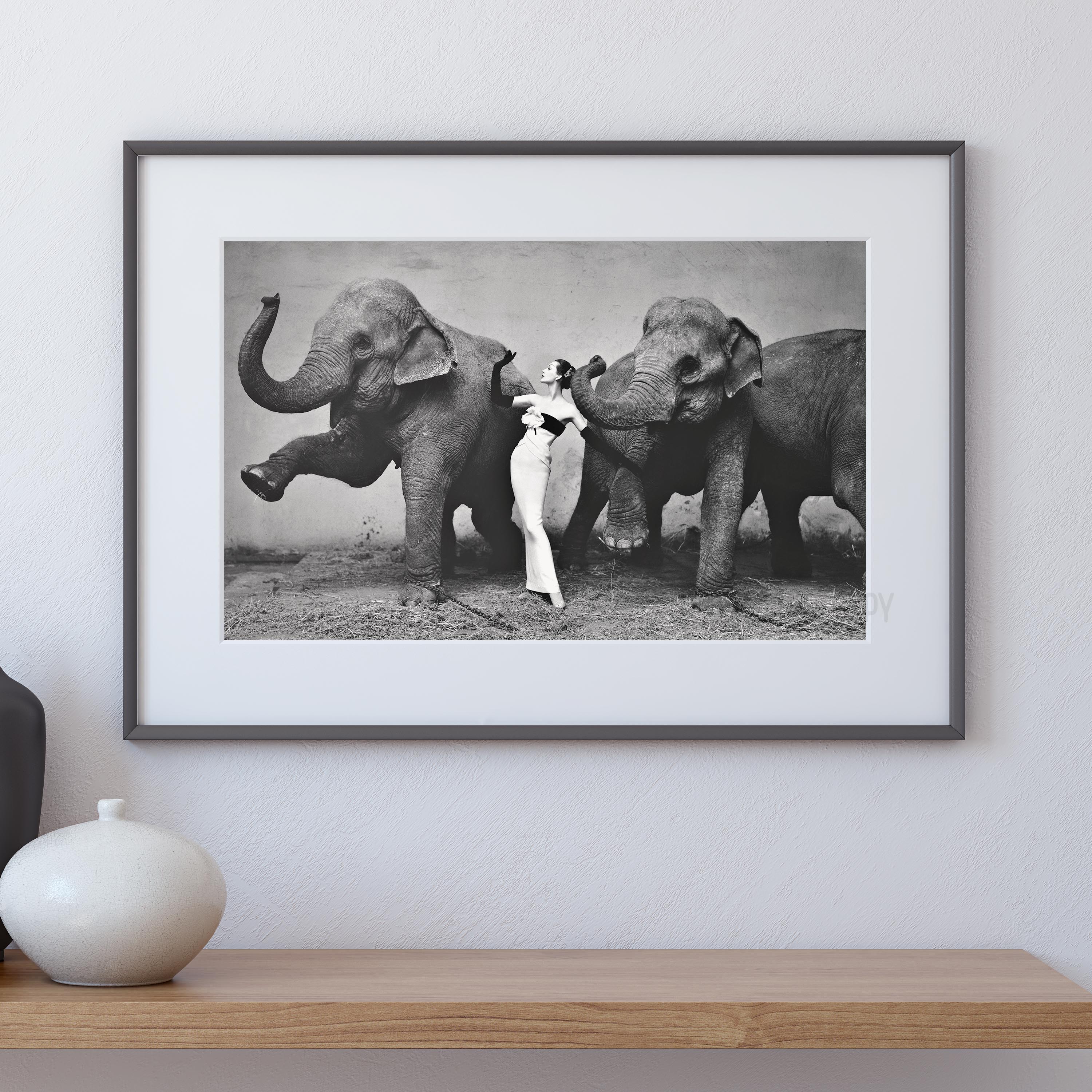 Dovima with the Elephants, Cirque d'hiver, August 1955. Dovima photographed by Richard Avedon - Image 4
