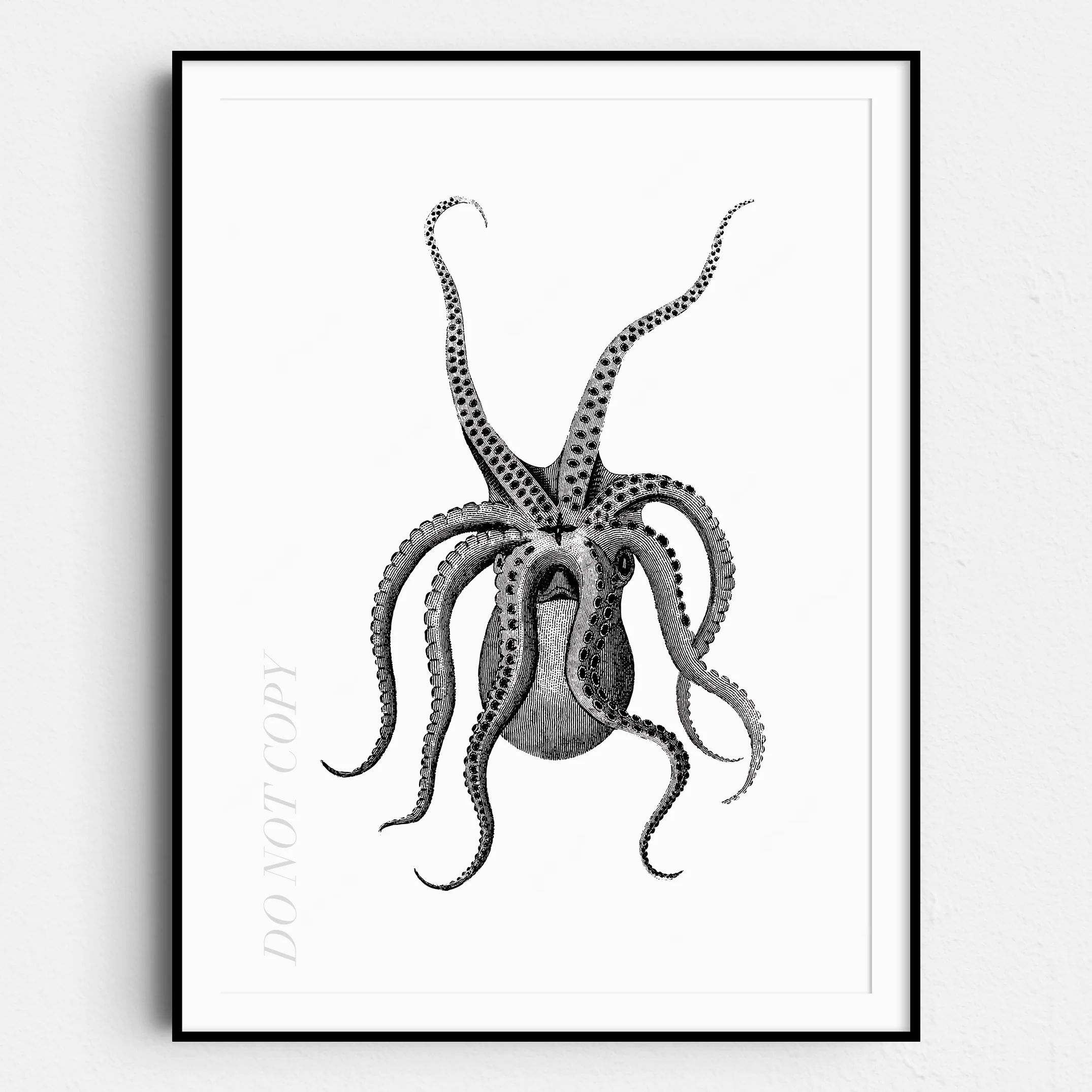 Eight Armed Cuttlefish Illustration