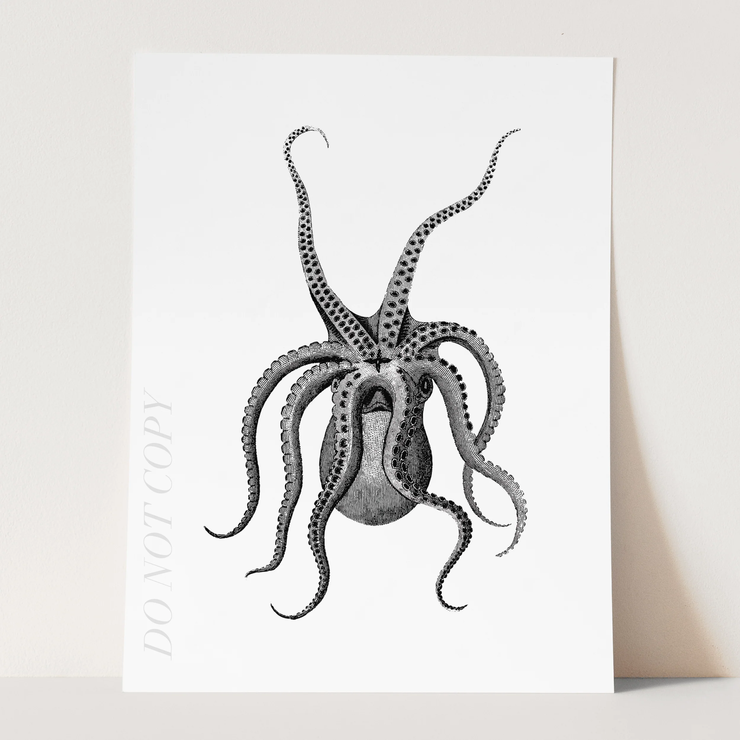 Eight Armed Cuttlefish Illustration - Image 3