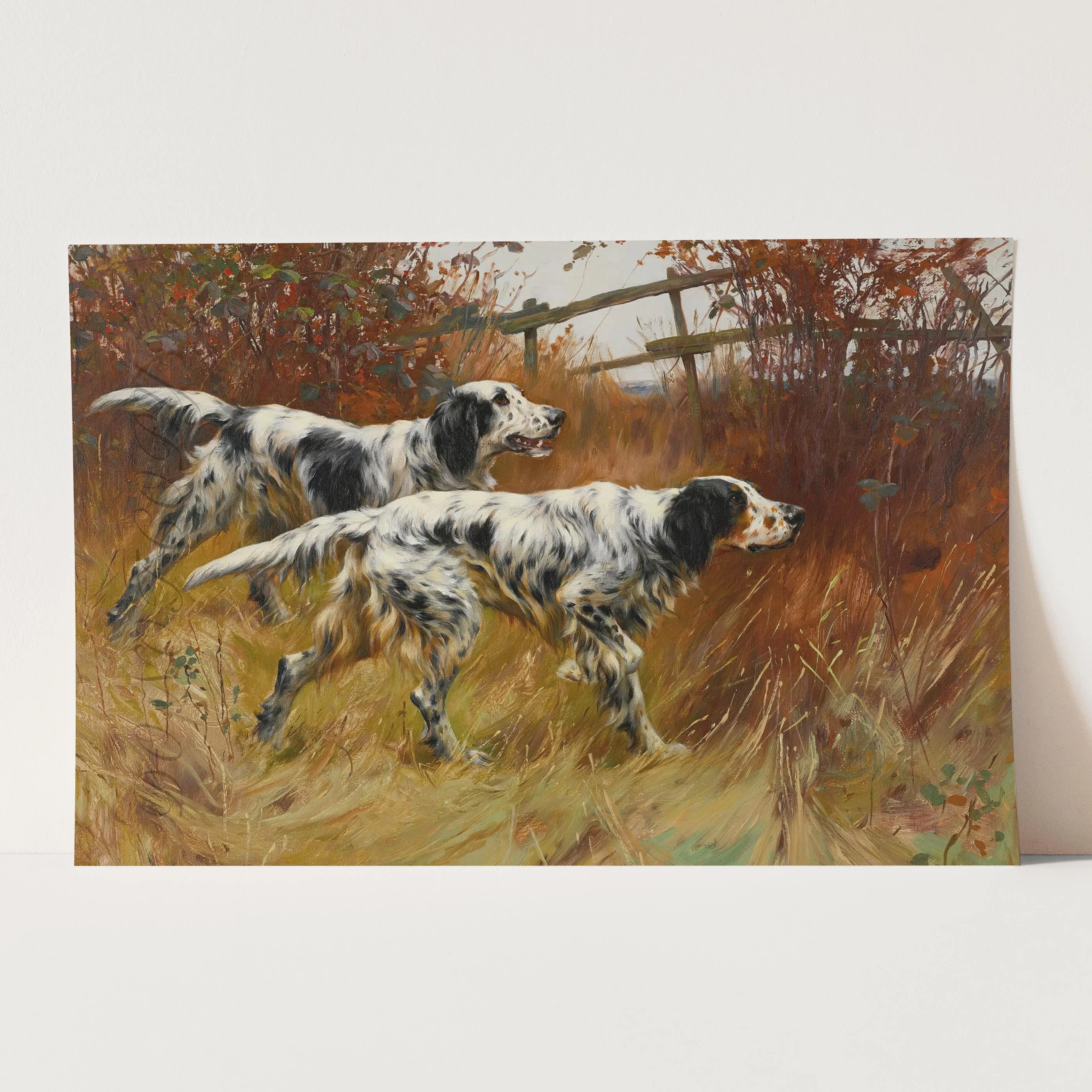 English Setter Hunting Dogs - Image 3