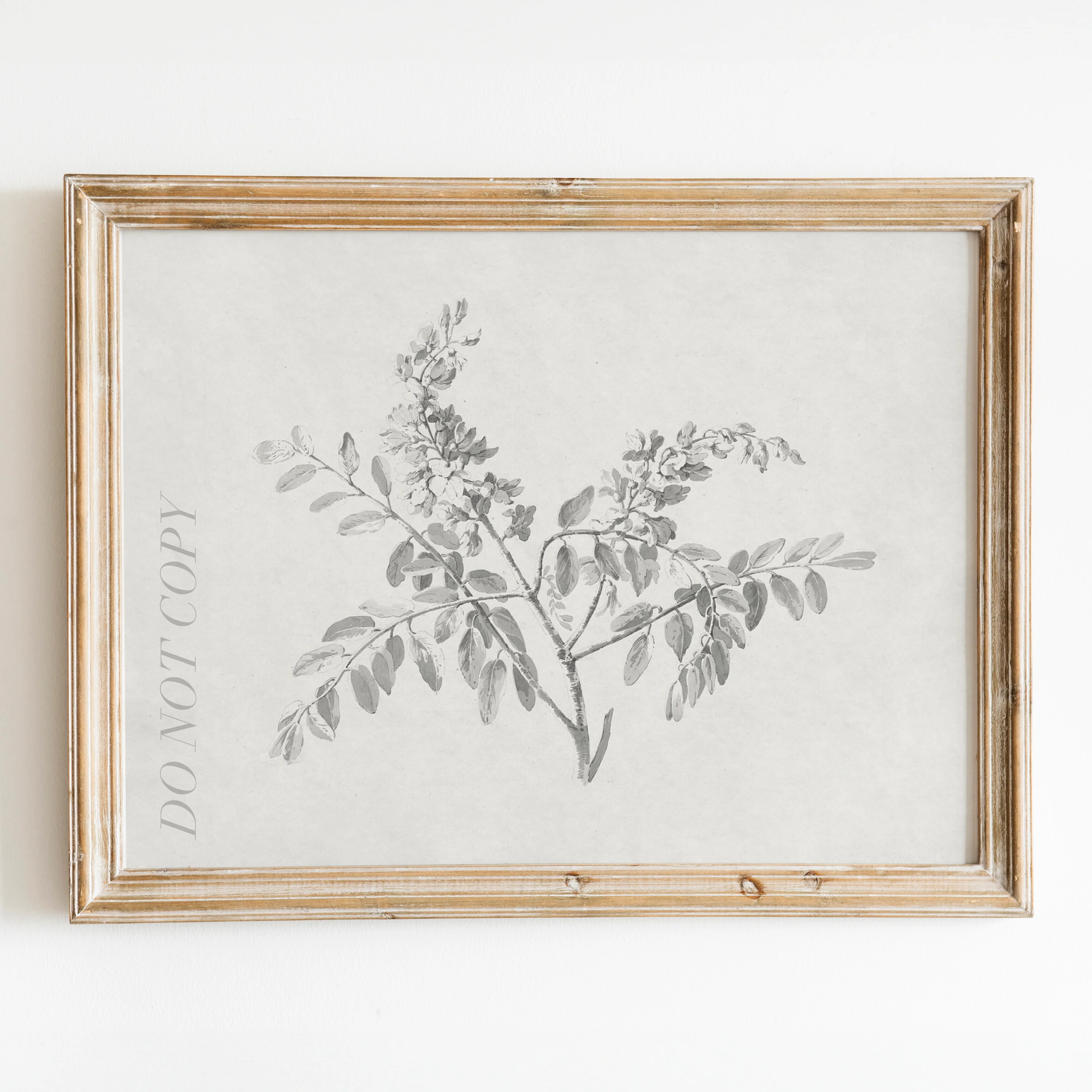 Flowering Branch