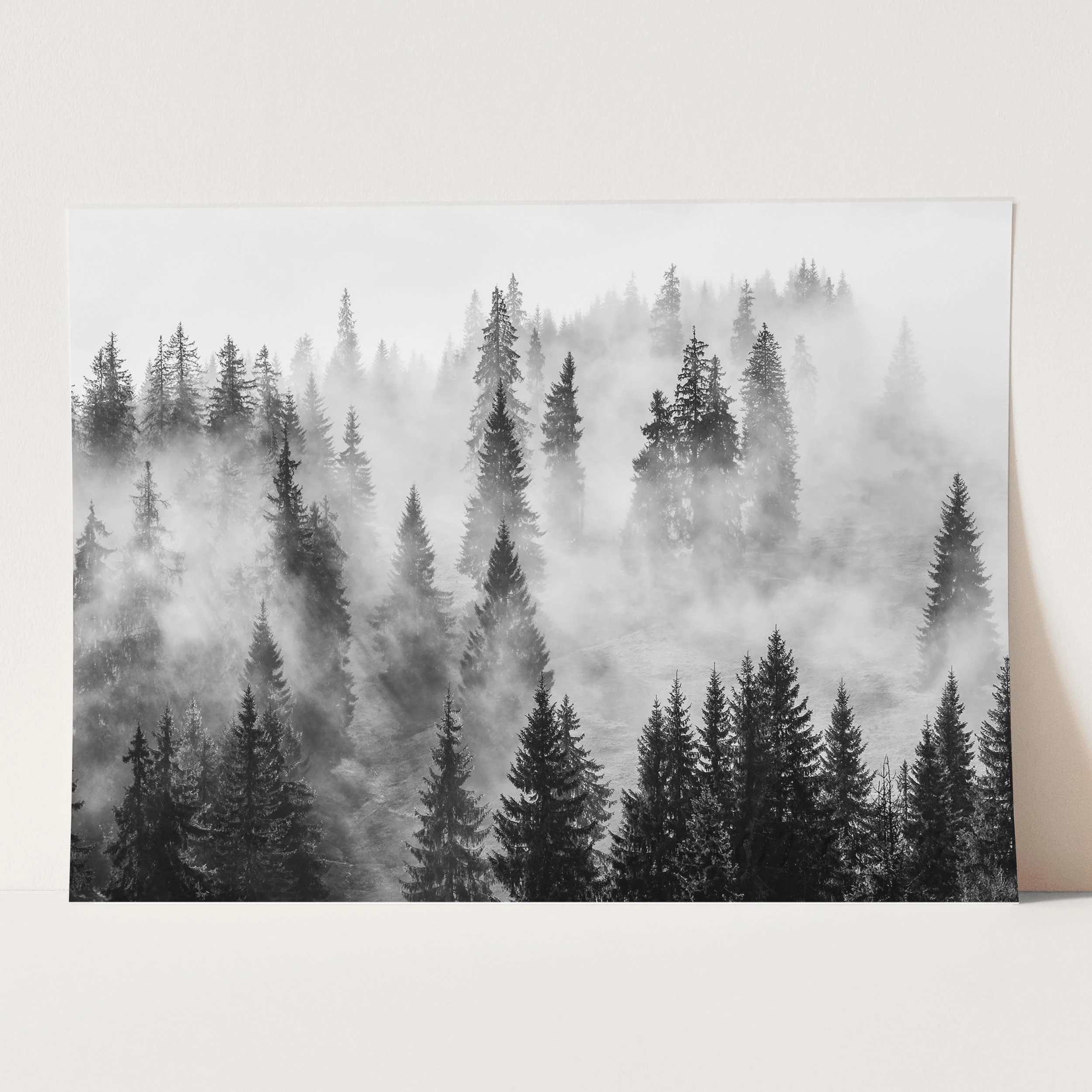 Foggy Forest - Image 3