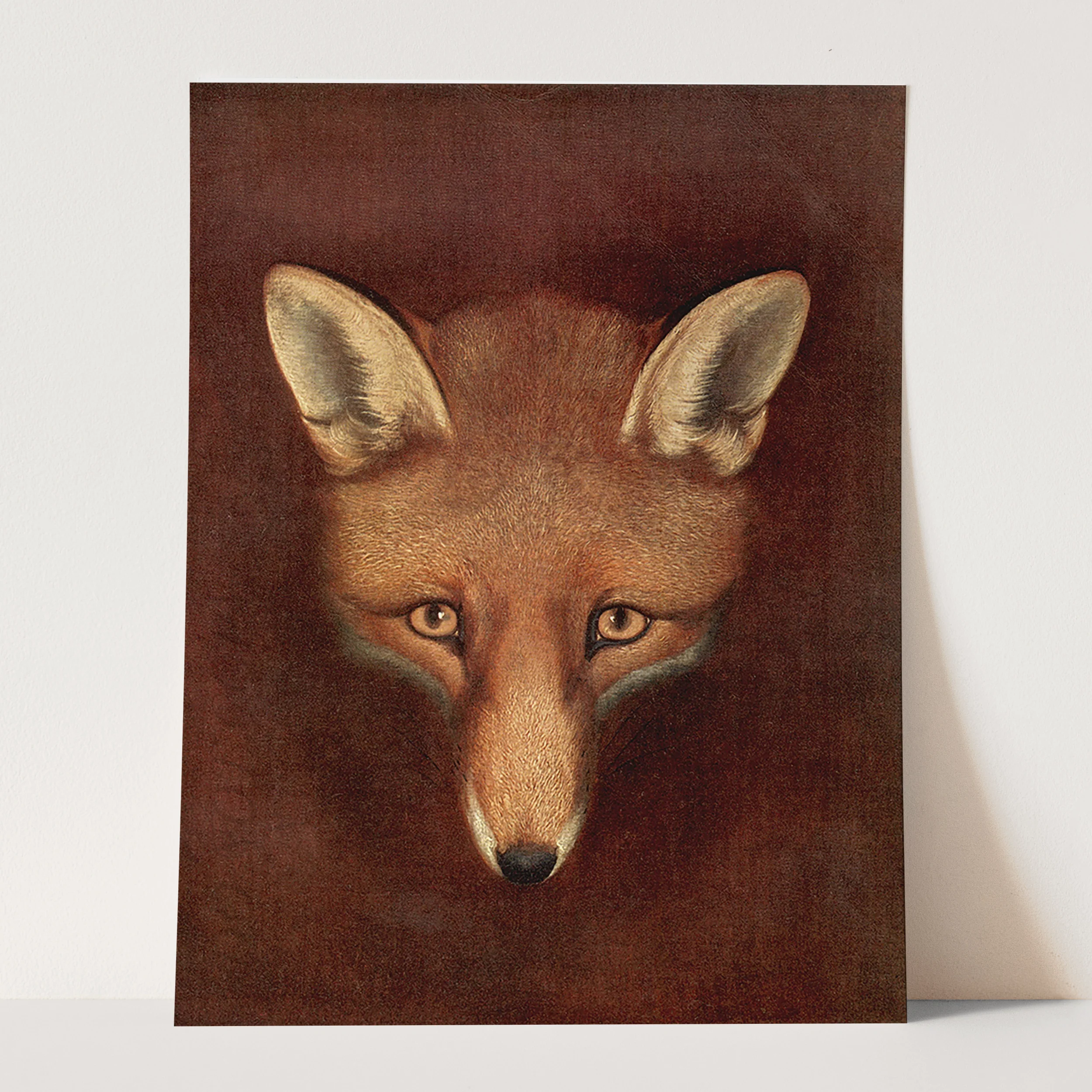 Fox Head by Reinagle - Image 3