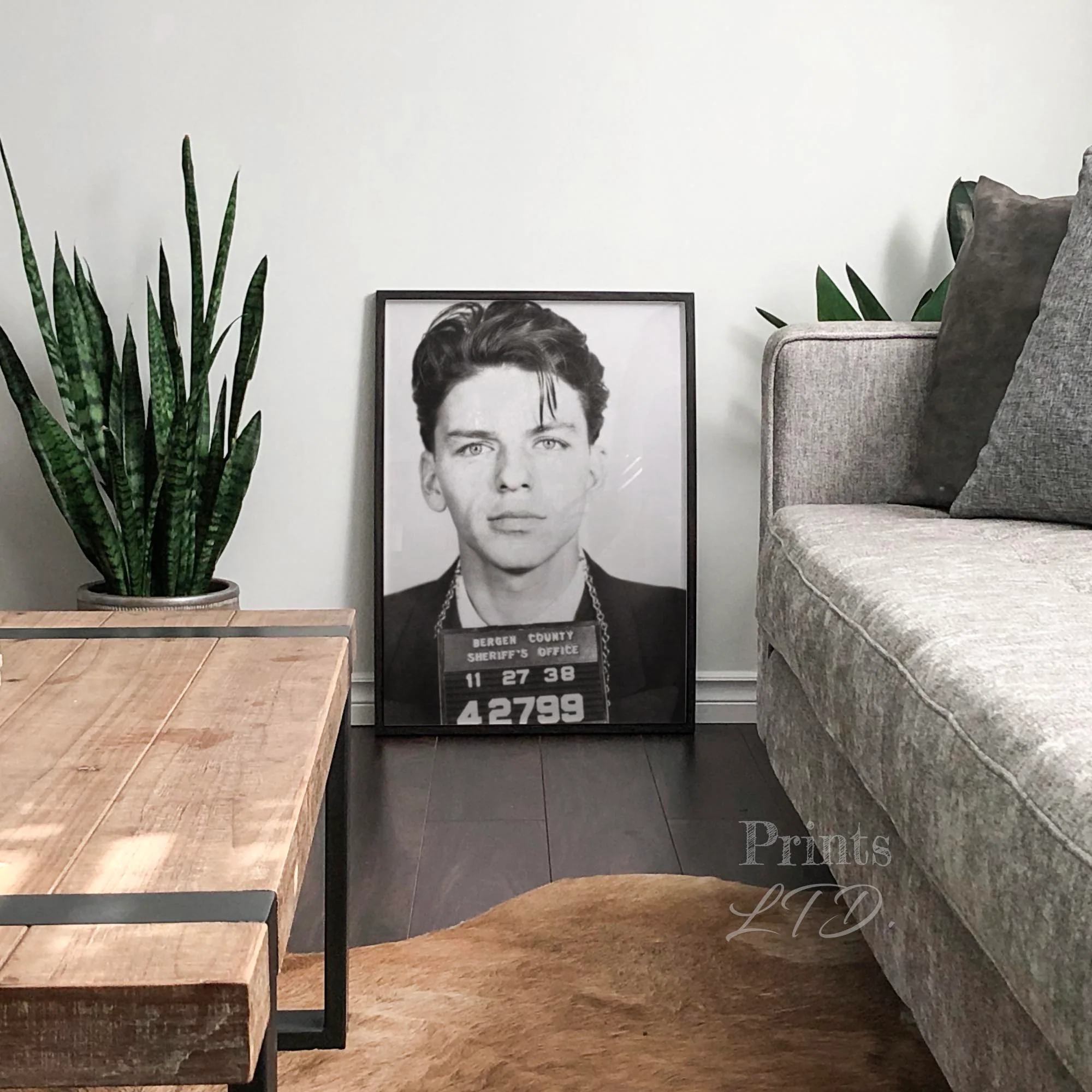 Frank Sinatra Prison Mugshot - Image 3