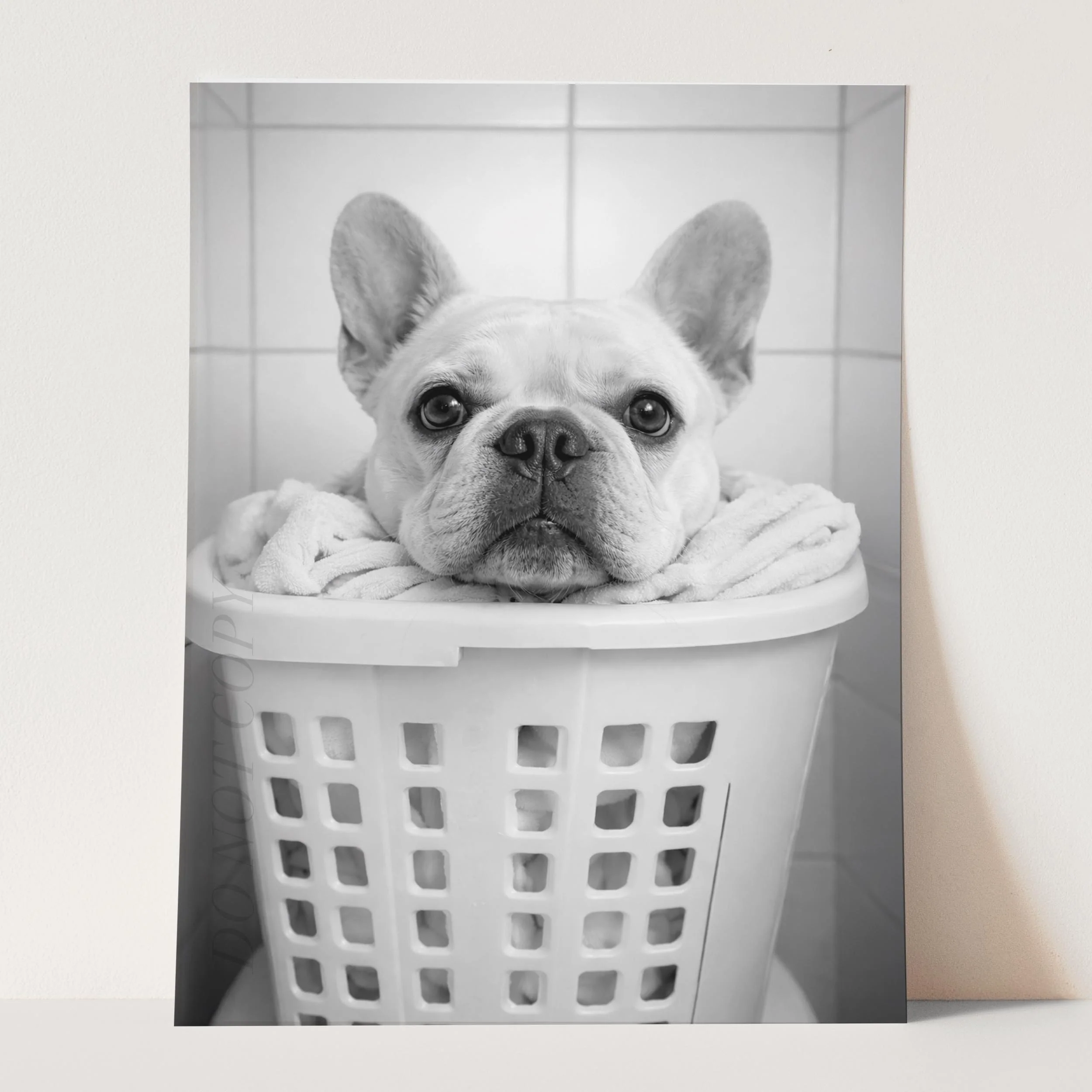 French Bulldog Laundry - Image 3