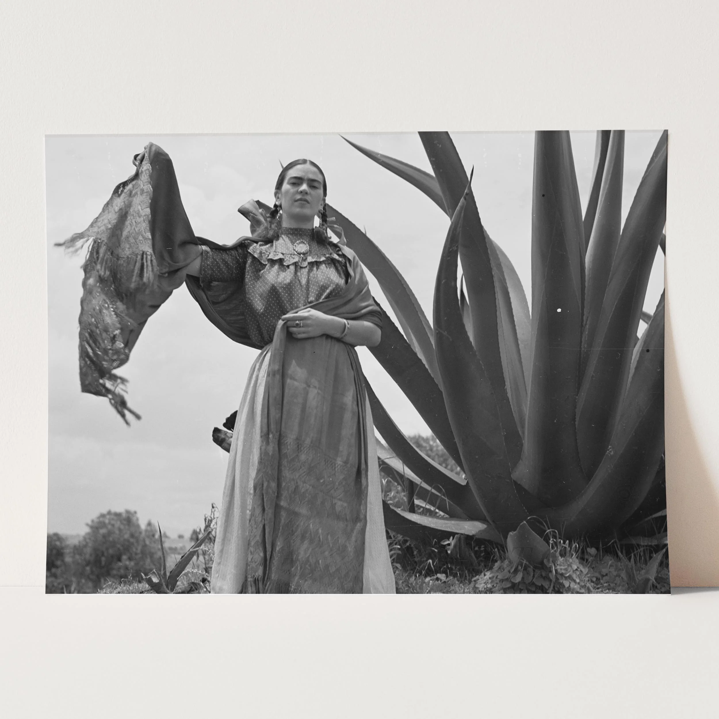 Frida Kahlo Next to Agave Plant - Image 3