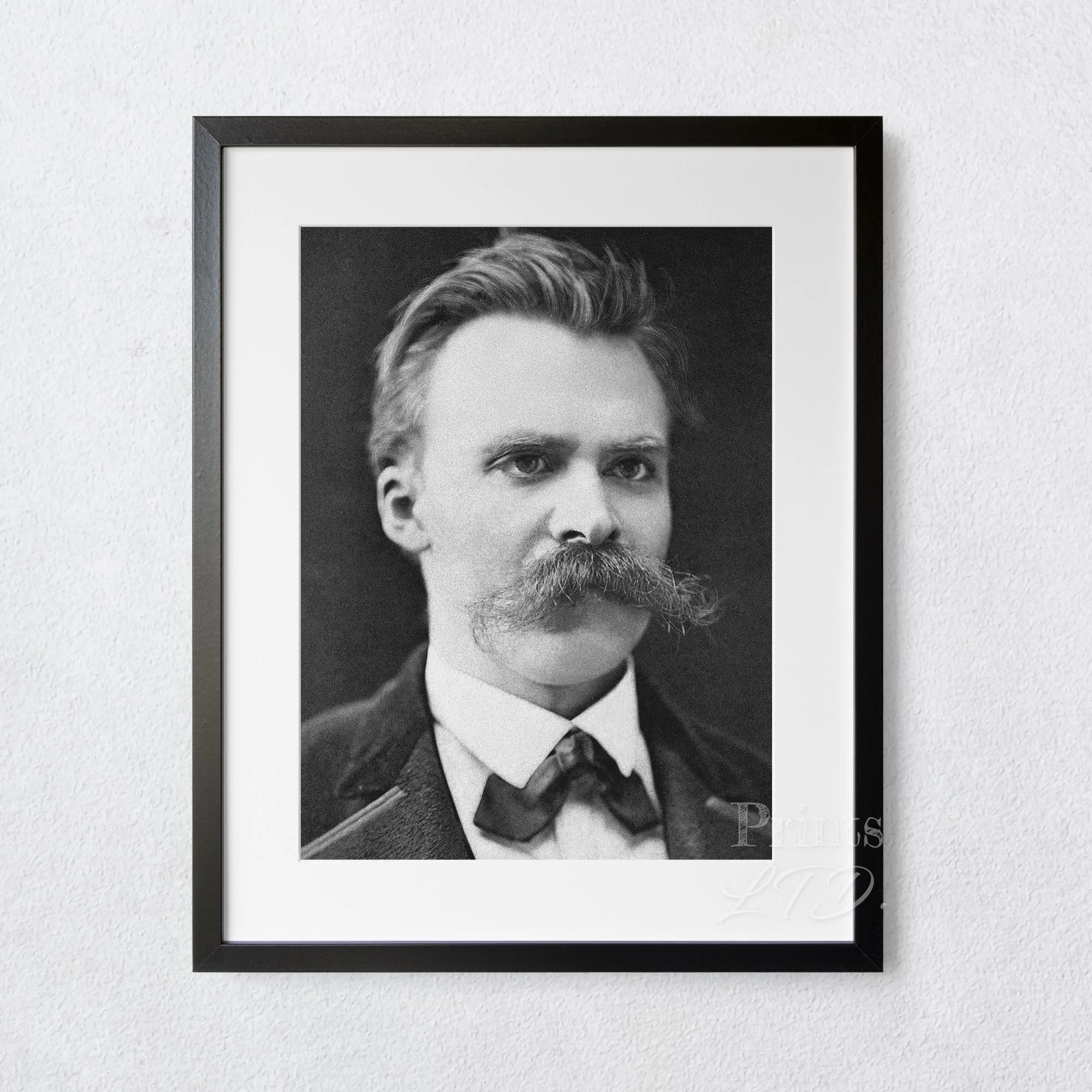 Friedrich Nietzsche - Image 5