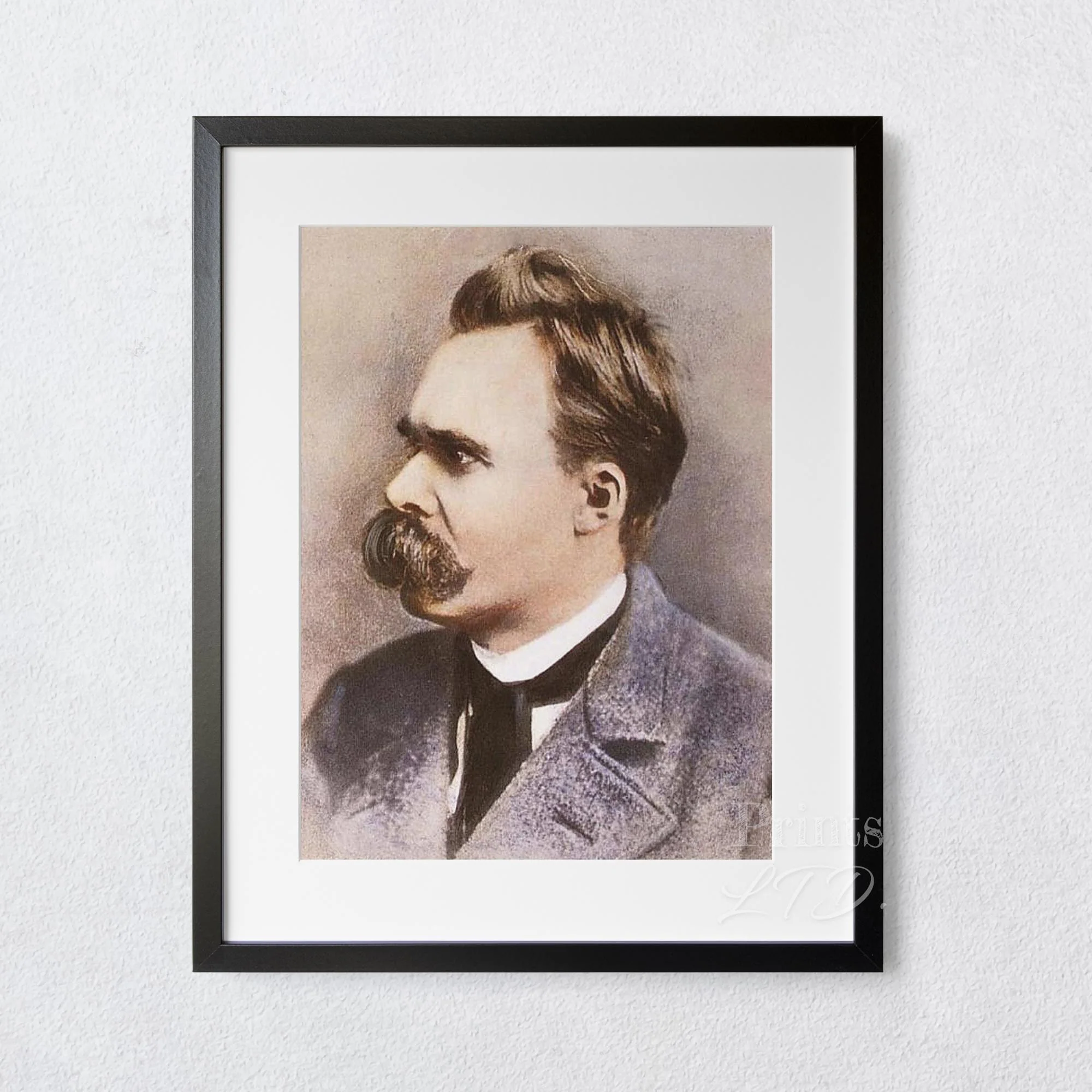 Friedrich Nietzsche Color - Image 5