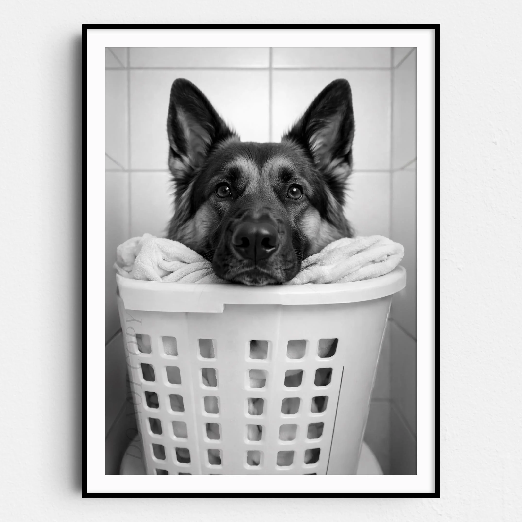 German Shepherd Dog Laundry