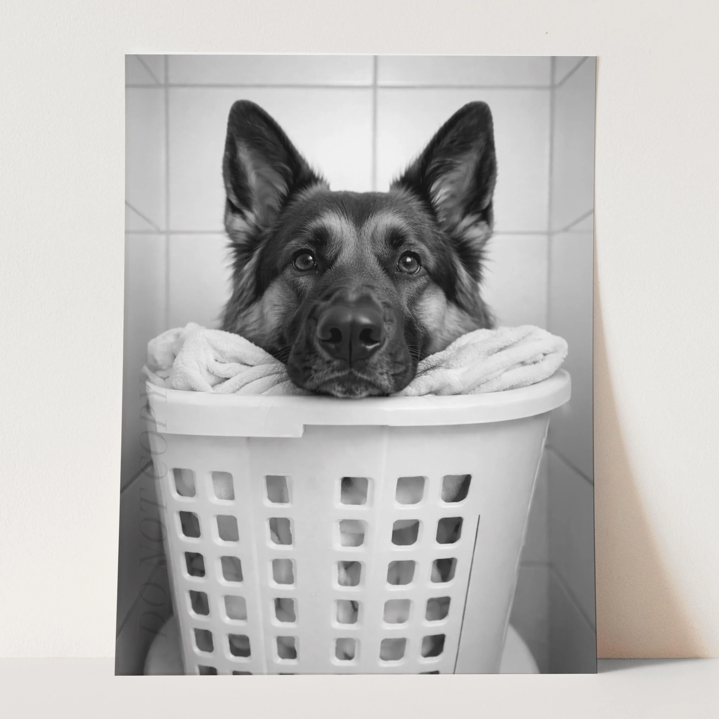 German Shepherd Dog Laundry - Image 3