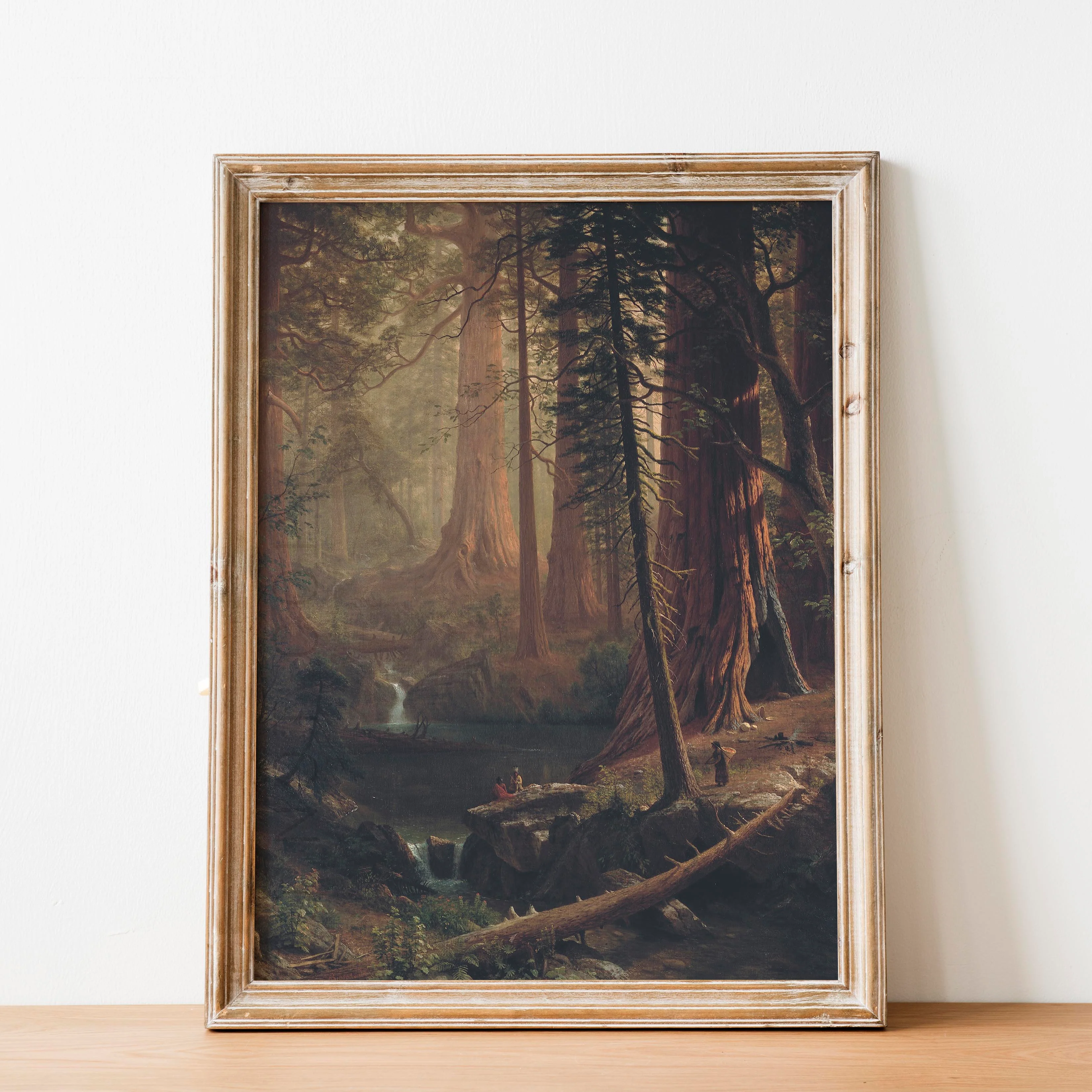 Giant Redwood Trees of California by Albert Bierstadt - Image 2