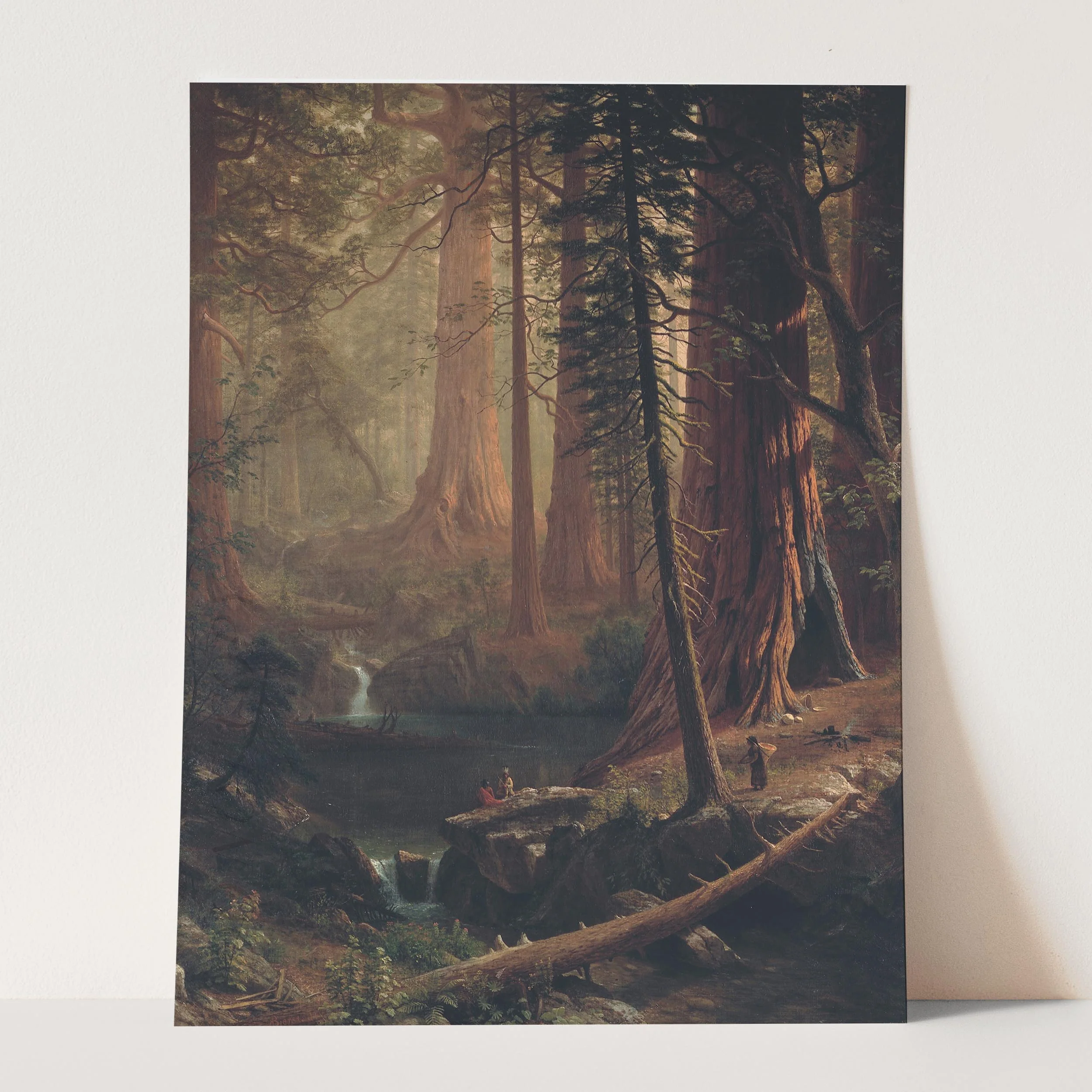Giant Redwood Trees of California by Albert Bierstadt - Image 5